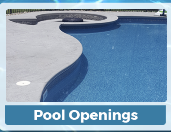 Buena Vista Pools & Spa Inc
