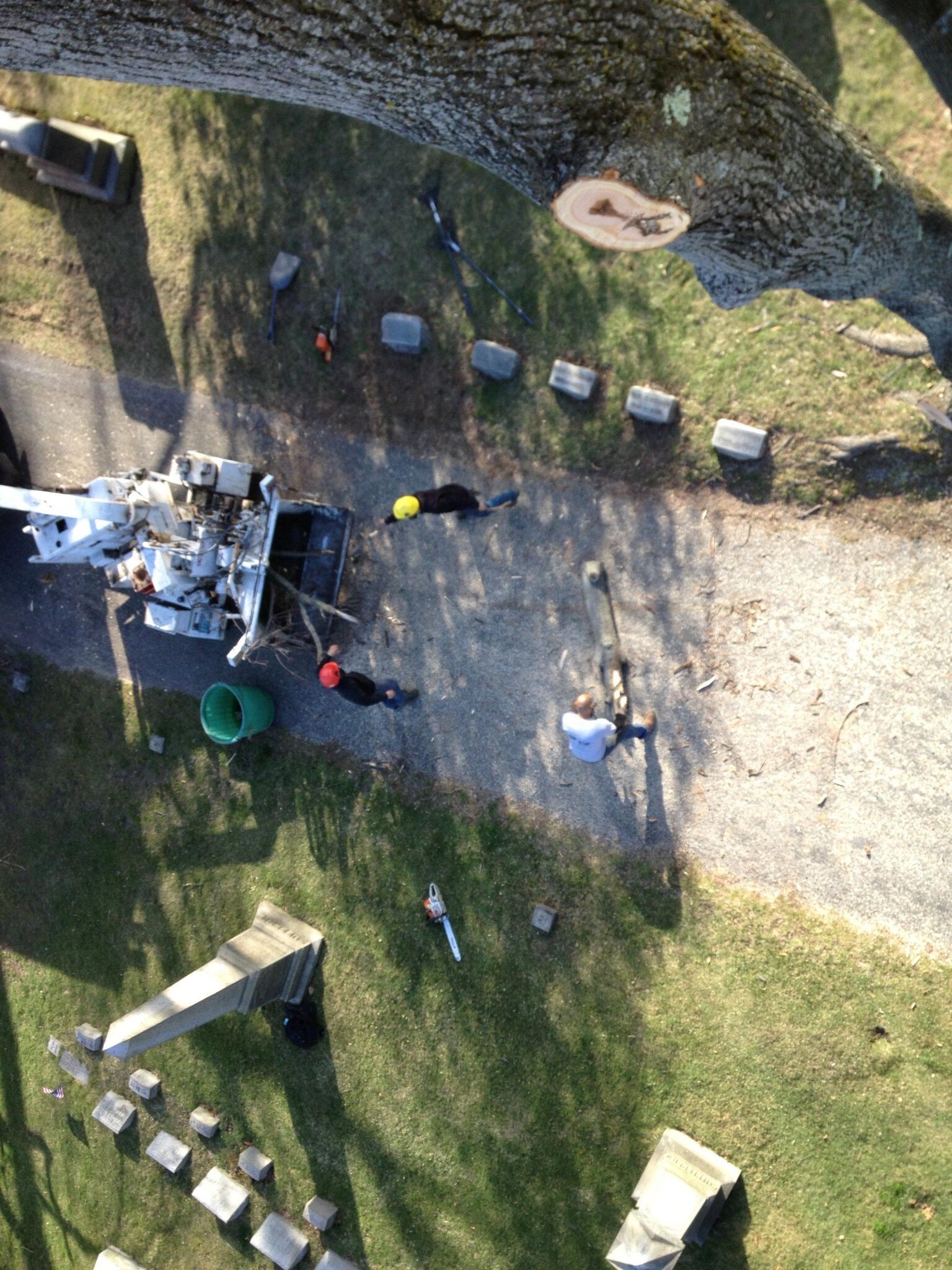 Photo credit: nextdoor