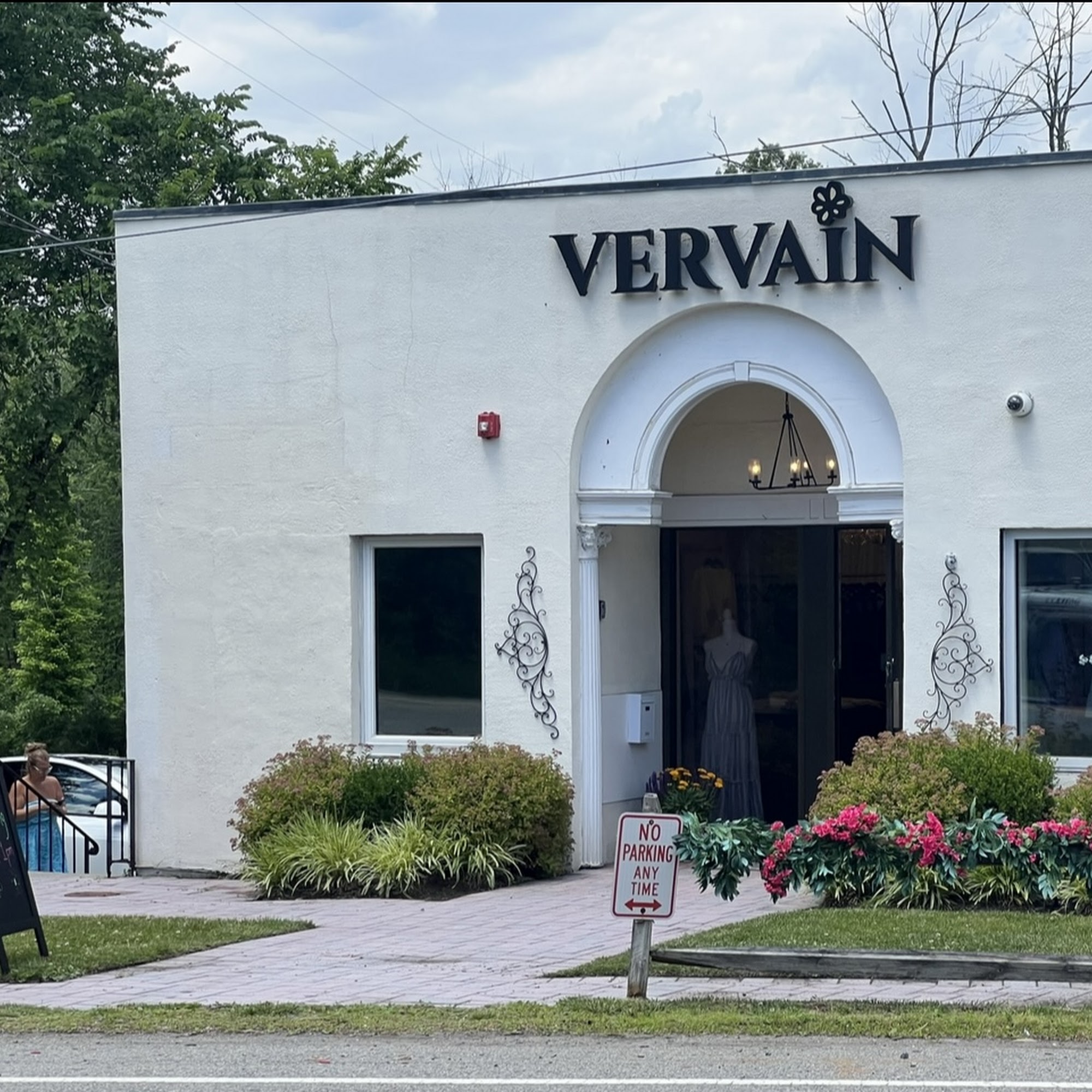 Vervain