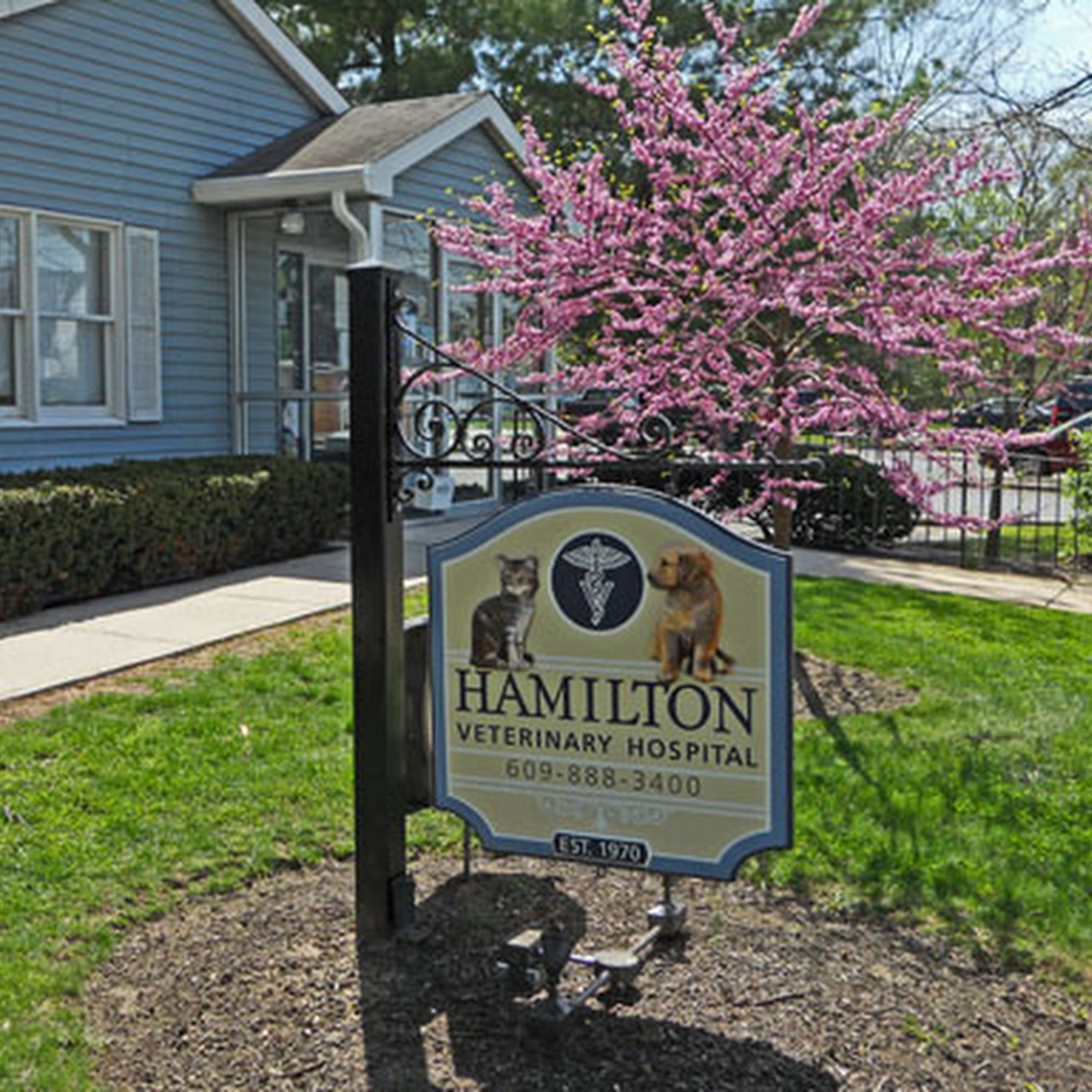 Hamilton Veterinary Hospital Trenton