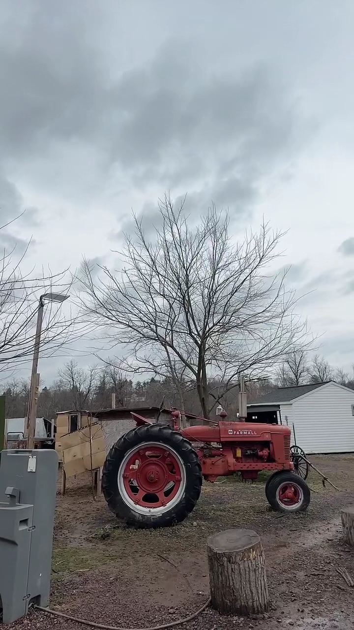 El Patio Latino Restaurant Menu