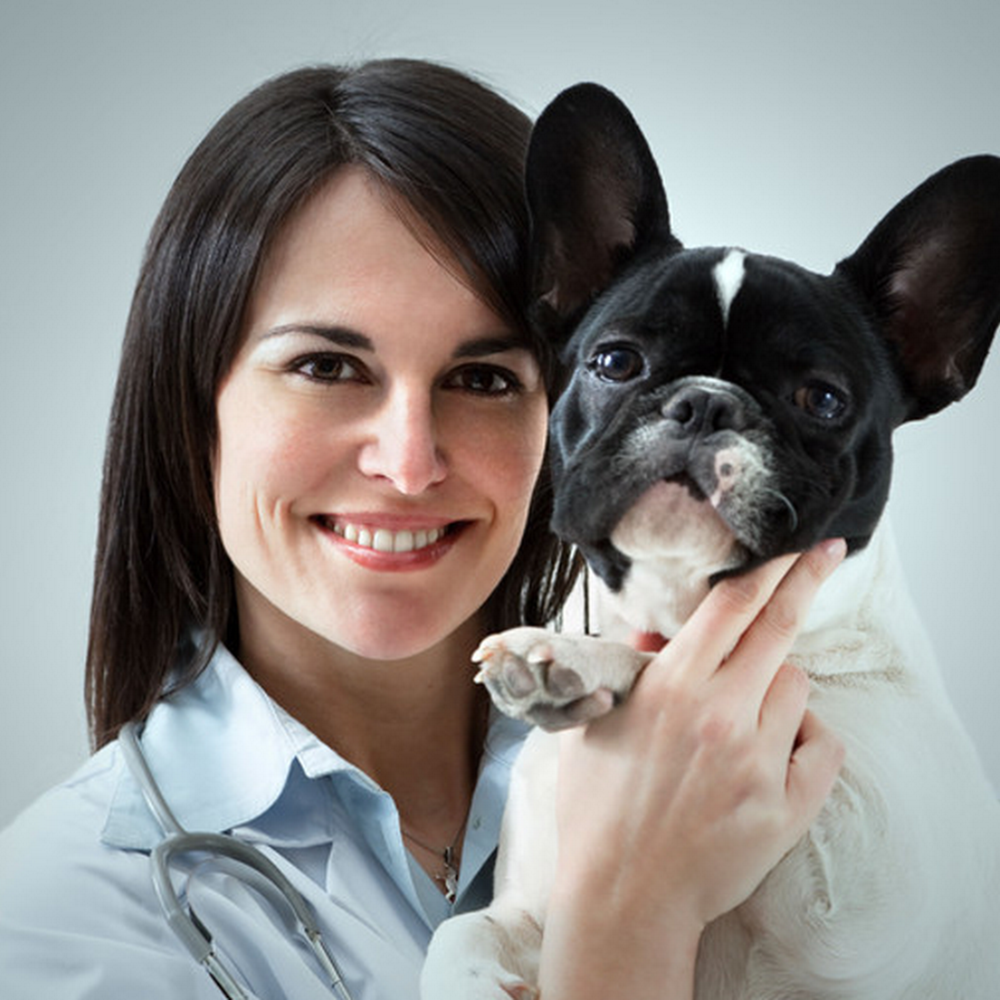 Little Egg Veterinarian Tuckerton