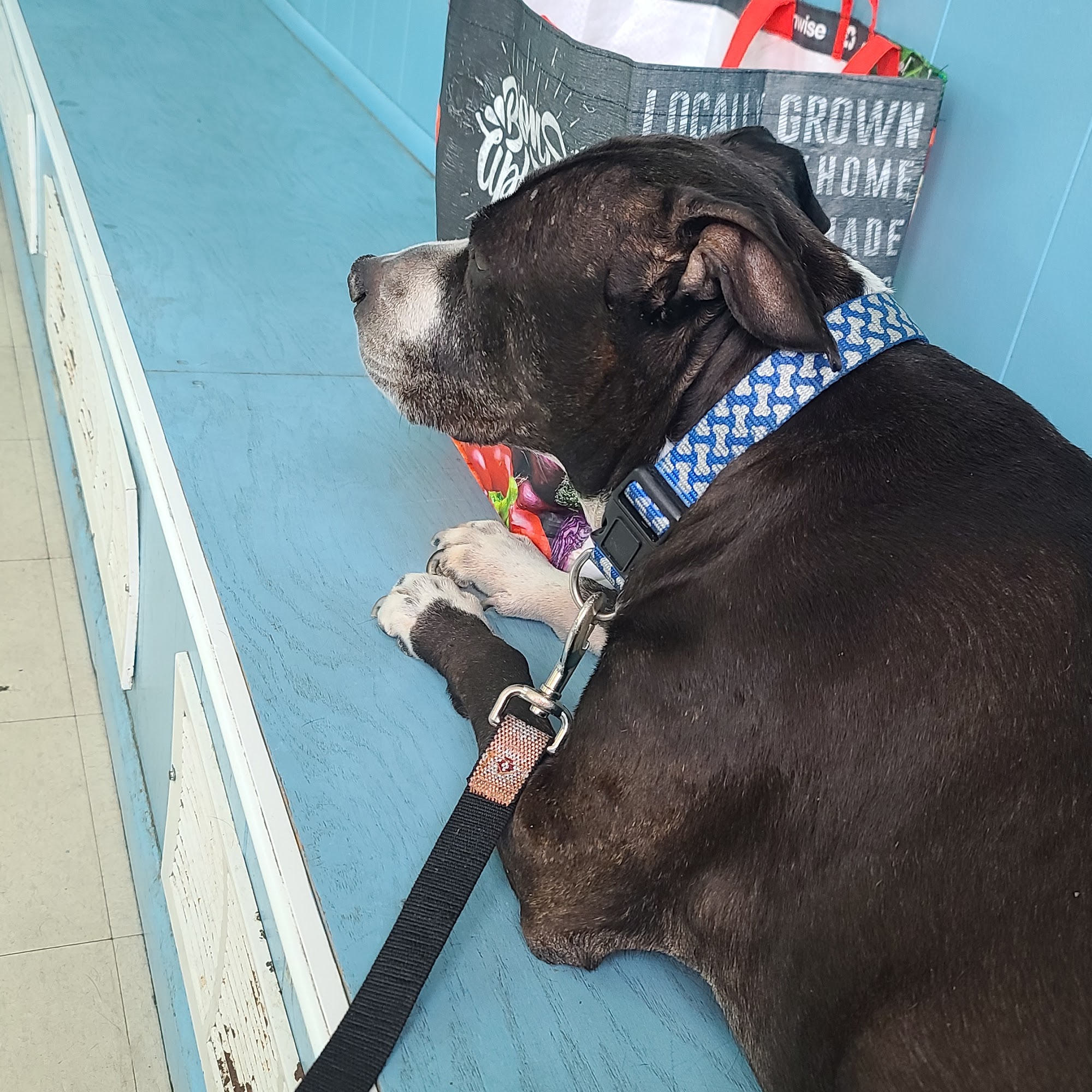 Union City Animal Clinic Union City