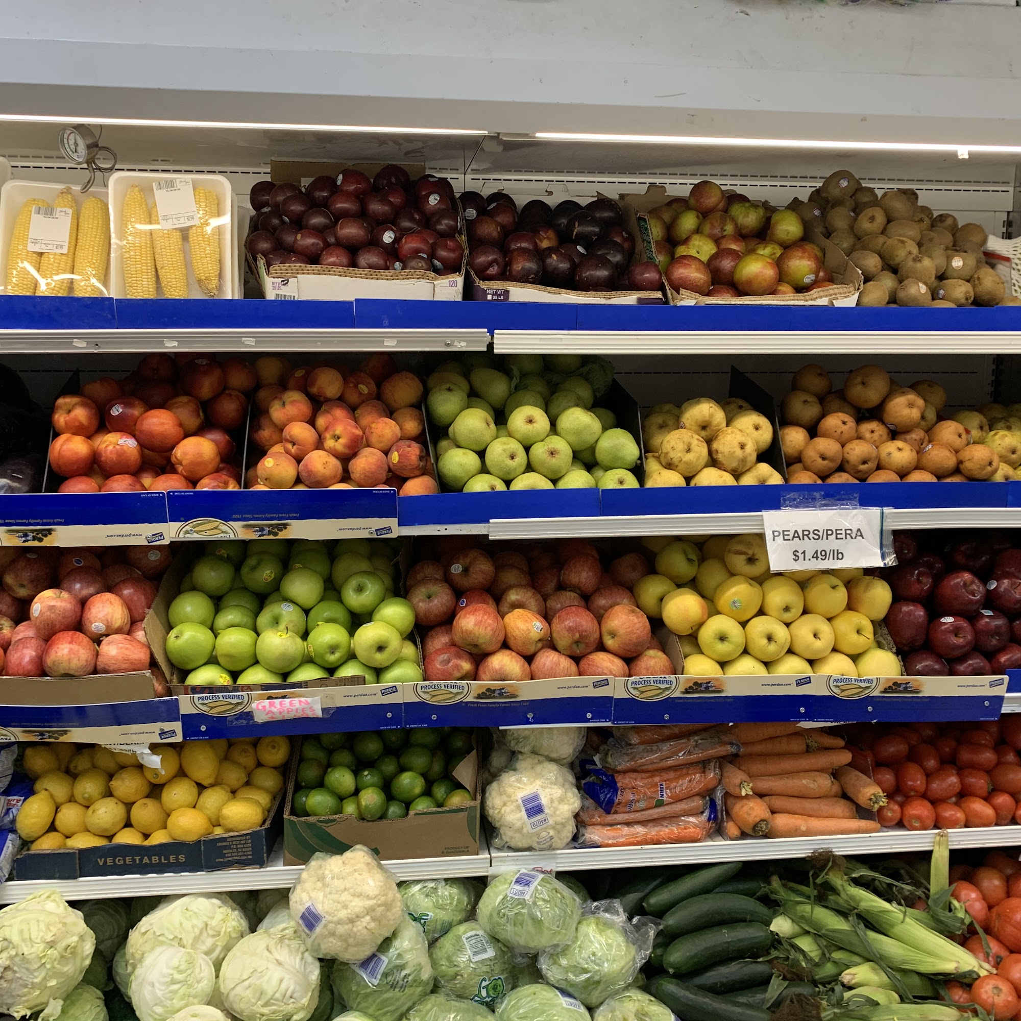 Global Fresh Food Market Union City