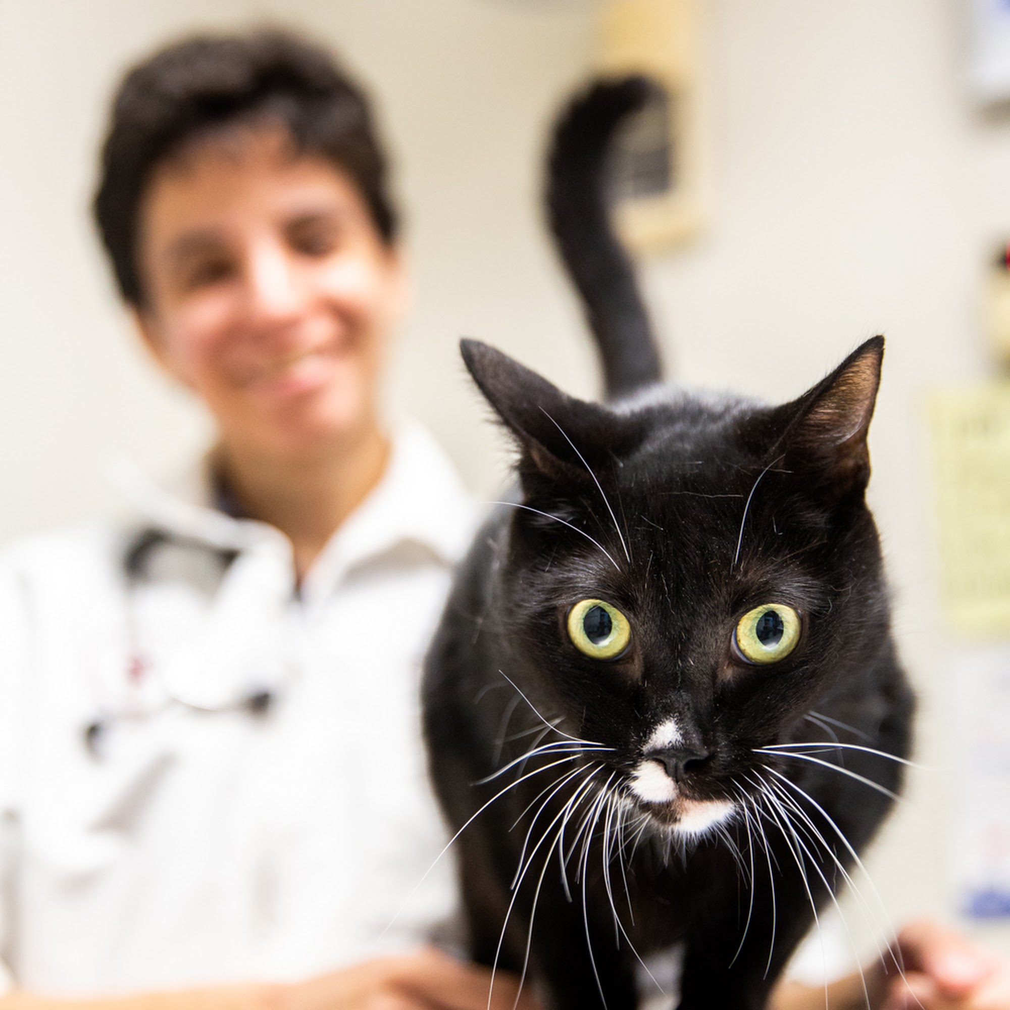 TLC Pet Doctor Union