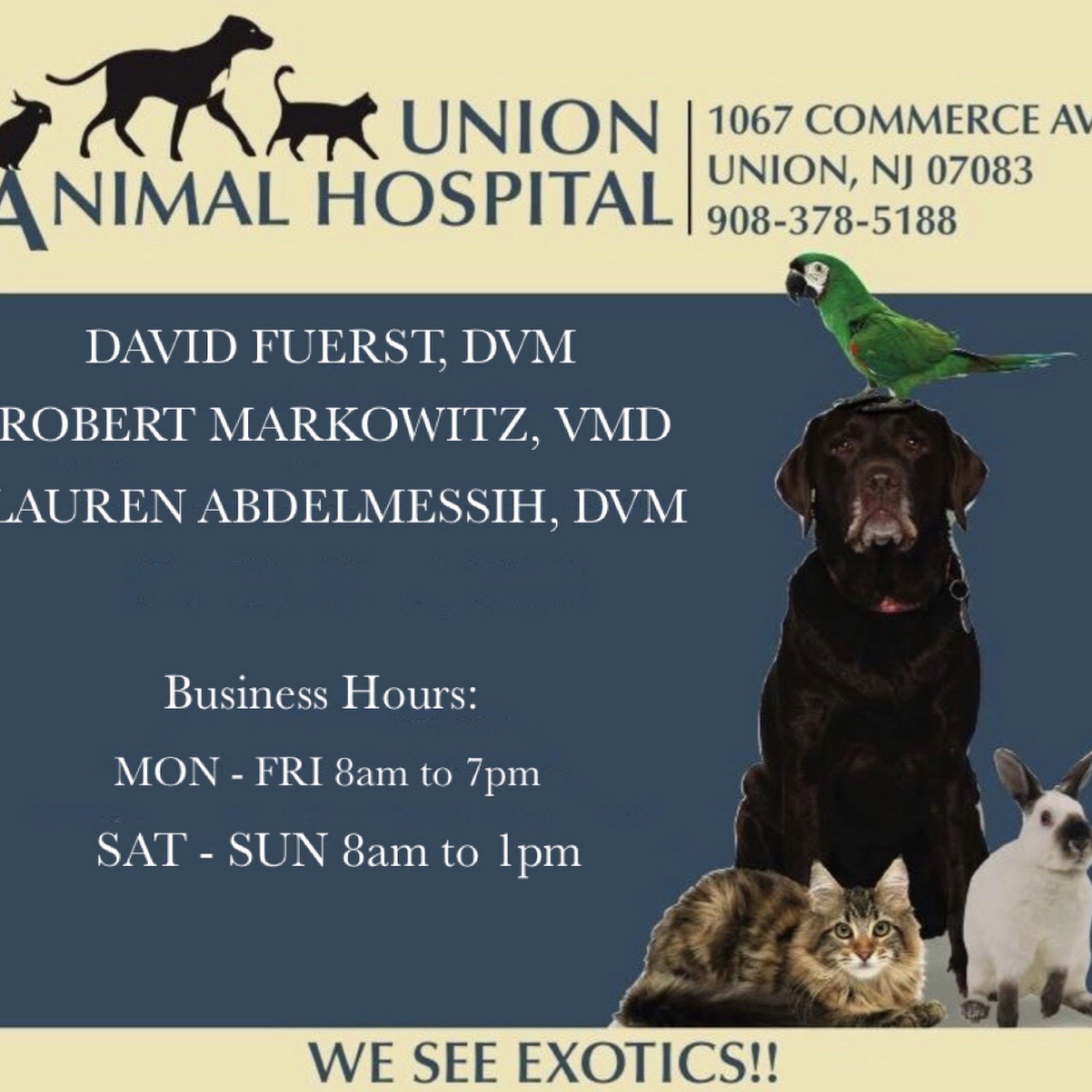 Union Animal Hospital Union