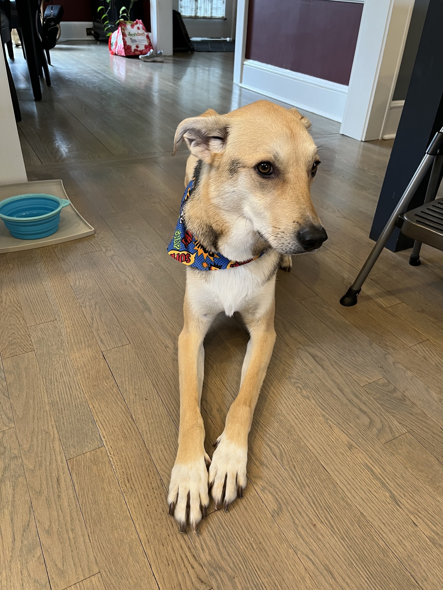 Puppy Love Spa Union