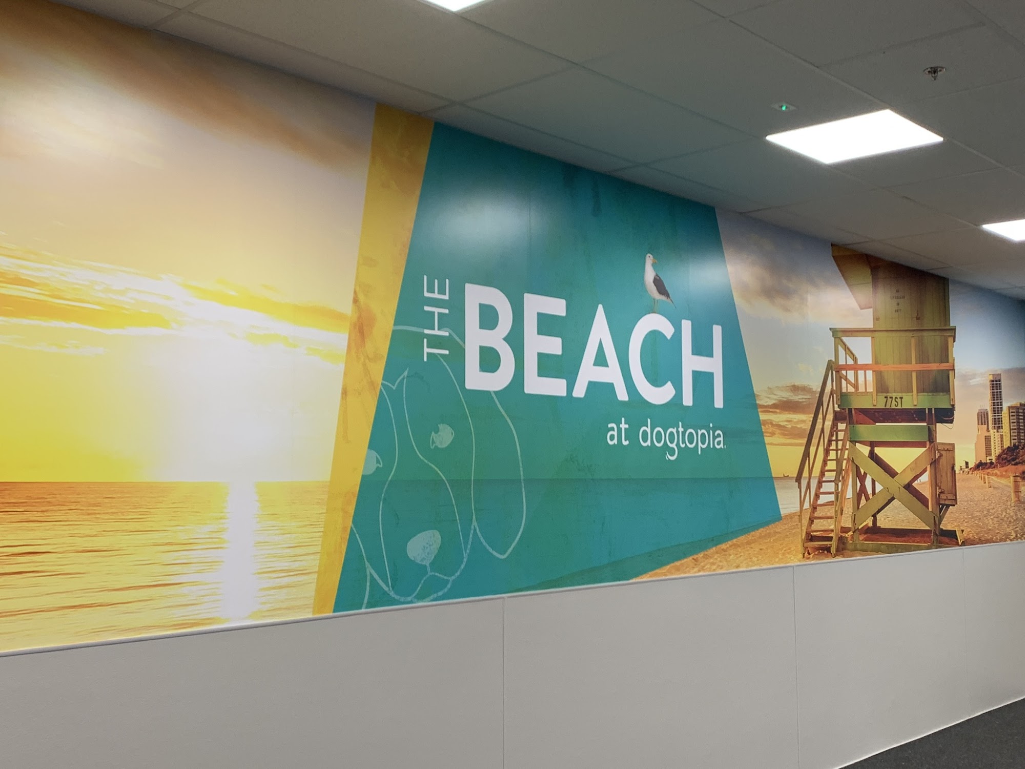 Dogtopia of Union Union