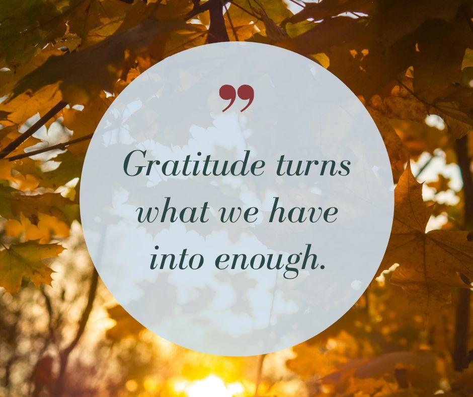 PetWellClinic - Union Union