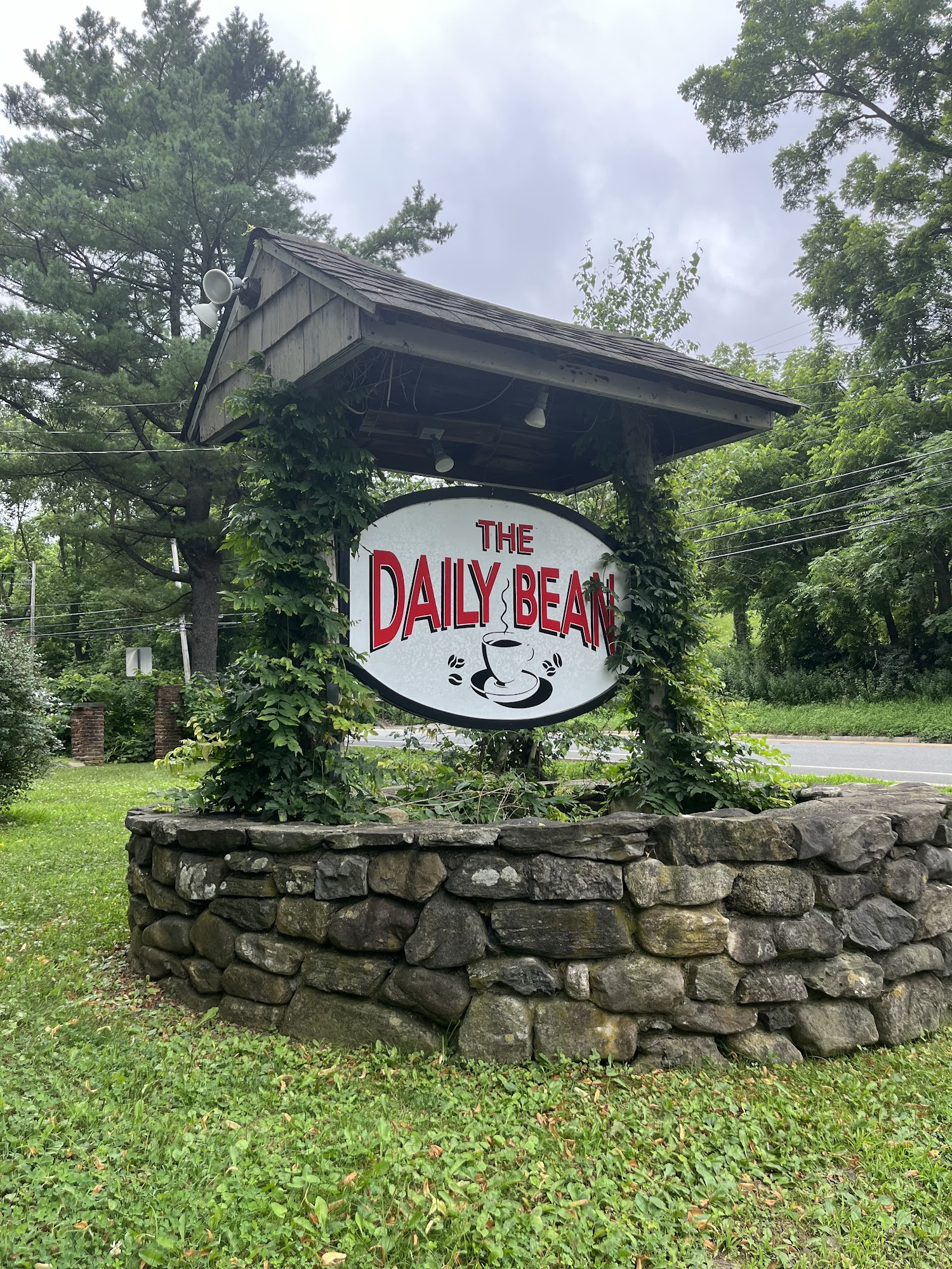 The Daily Bean Vernon