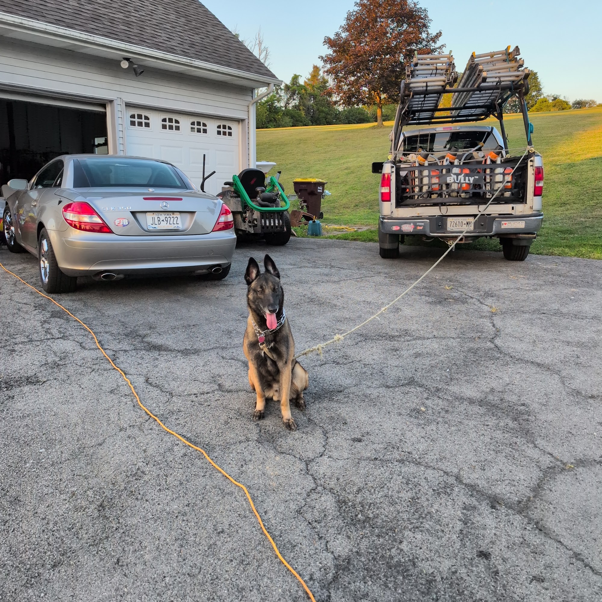 Applewood Kennels Vernon