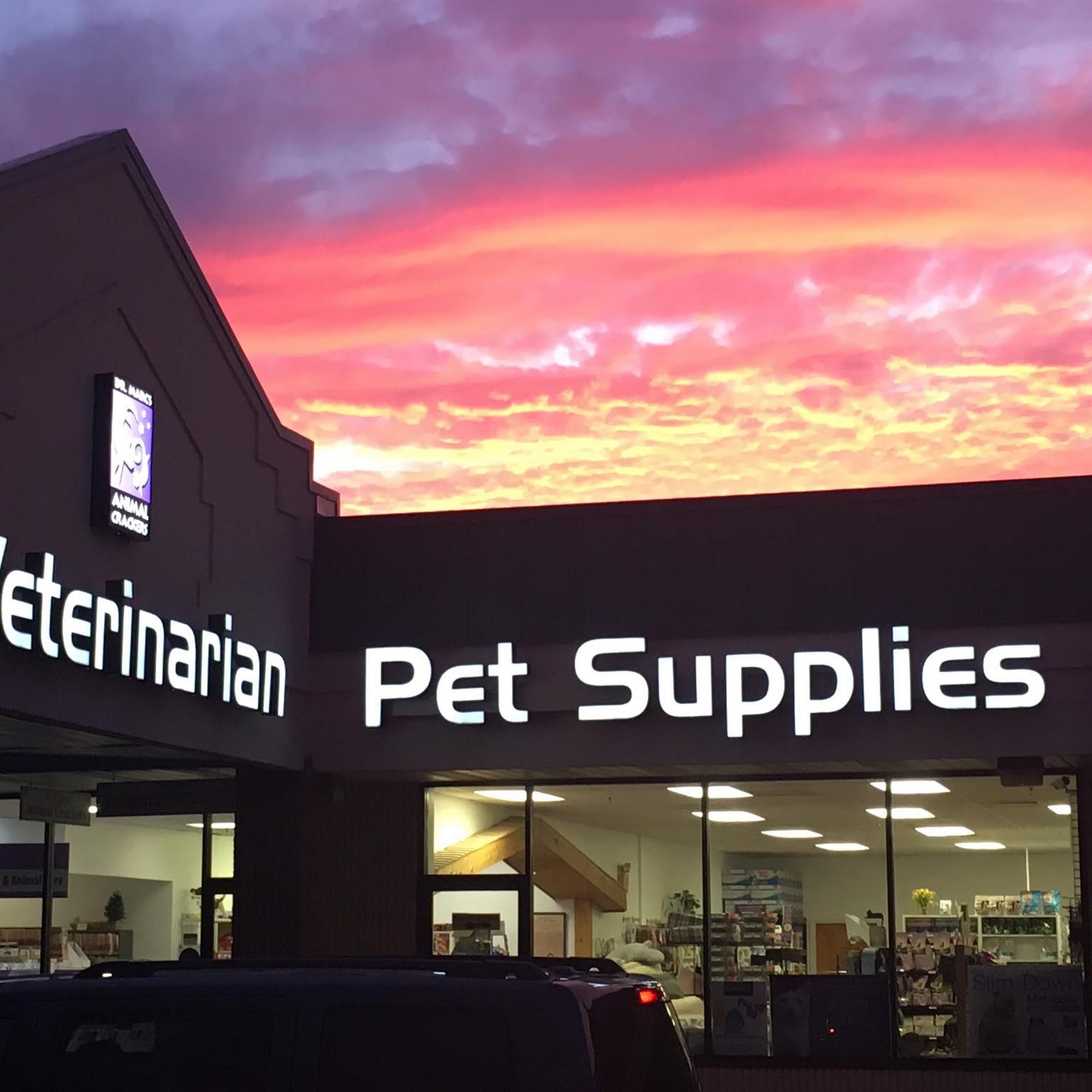 Voorhees Veterinary Center Voorhees