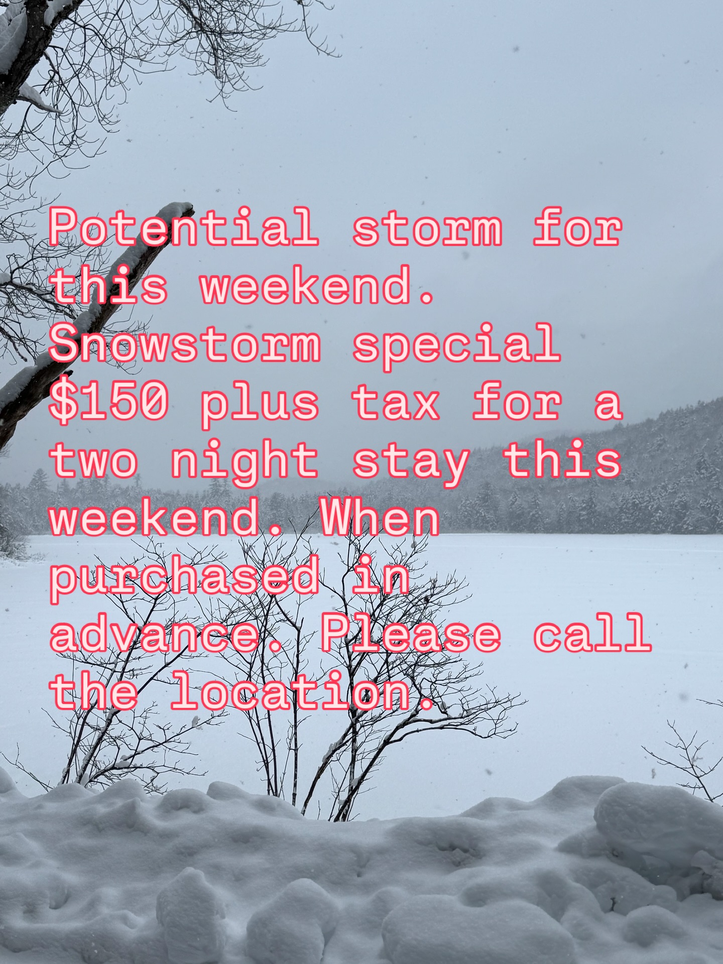 The Madison Dog Resort & Spa Waldwick