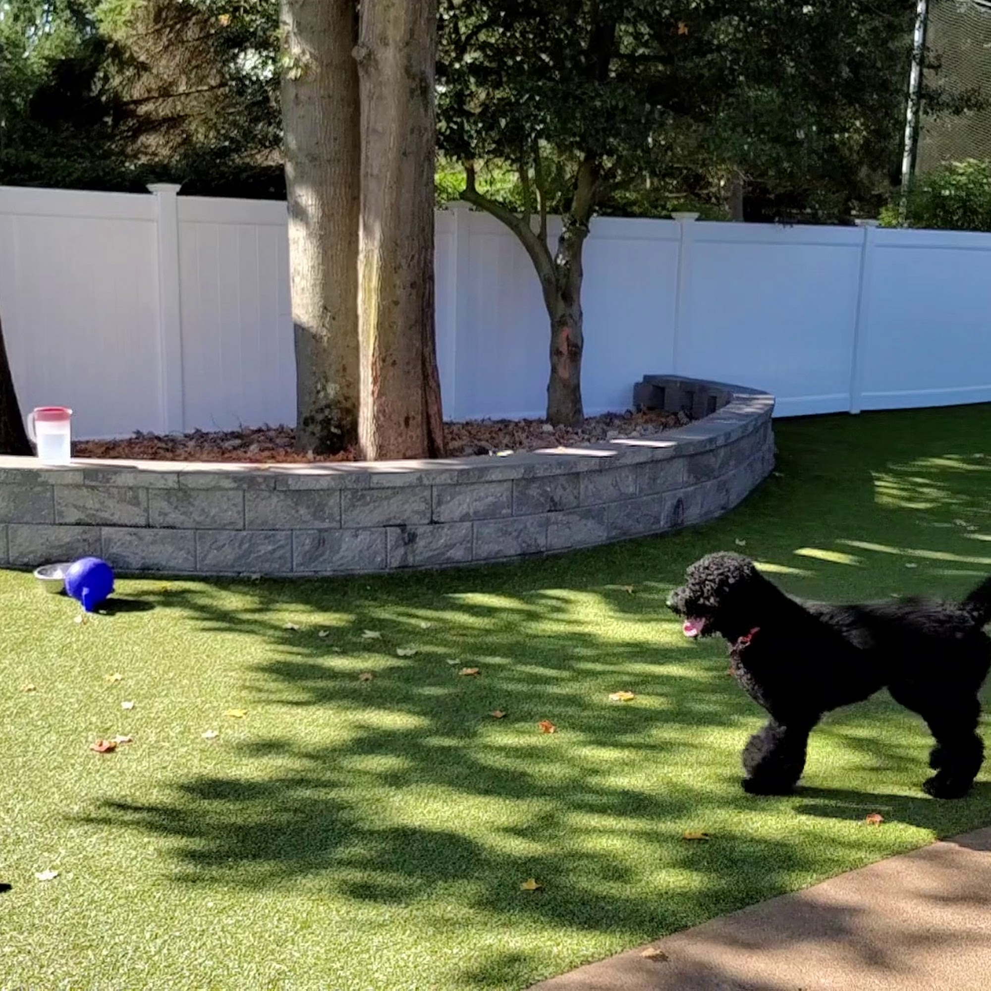 Tanner's Canine Resort Waldwick