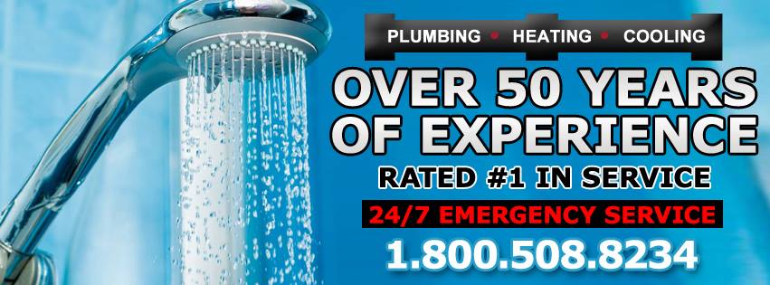 Bogush Inc 87 Locust Ave, Wallington New Jersey 07057