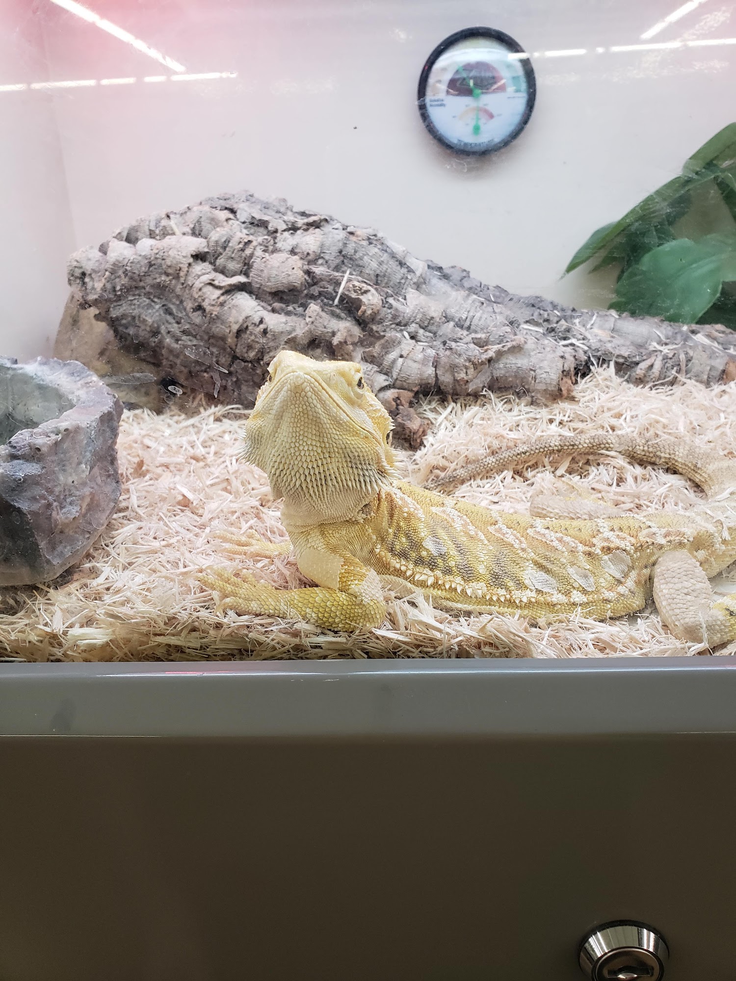 Pet Supplies Plus Wallington Wallington