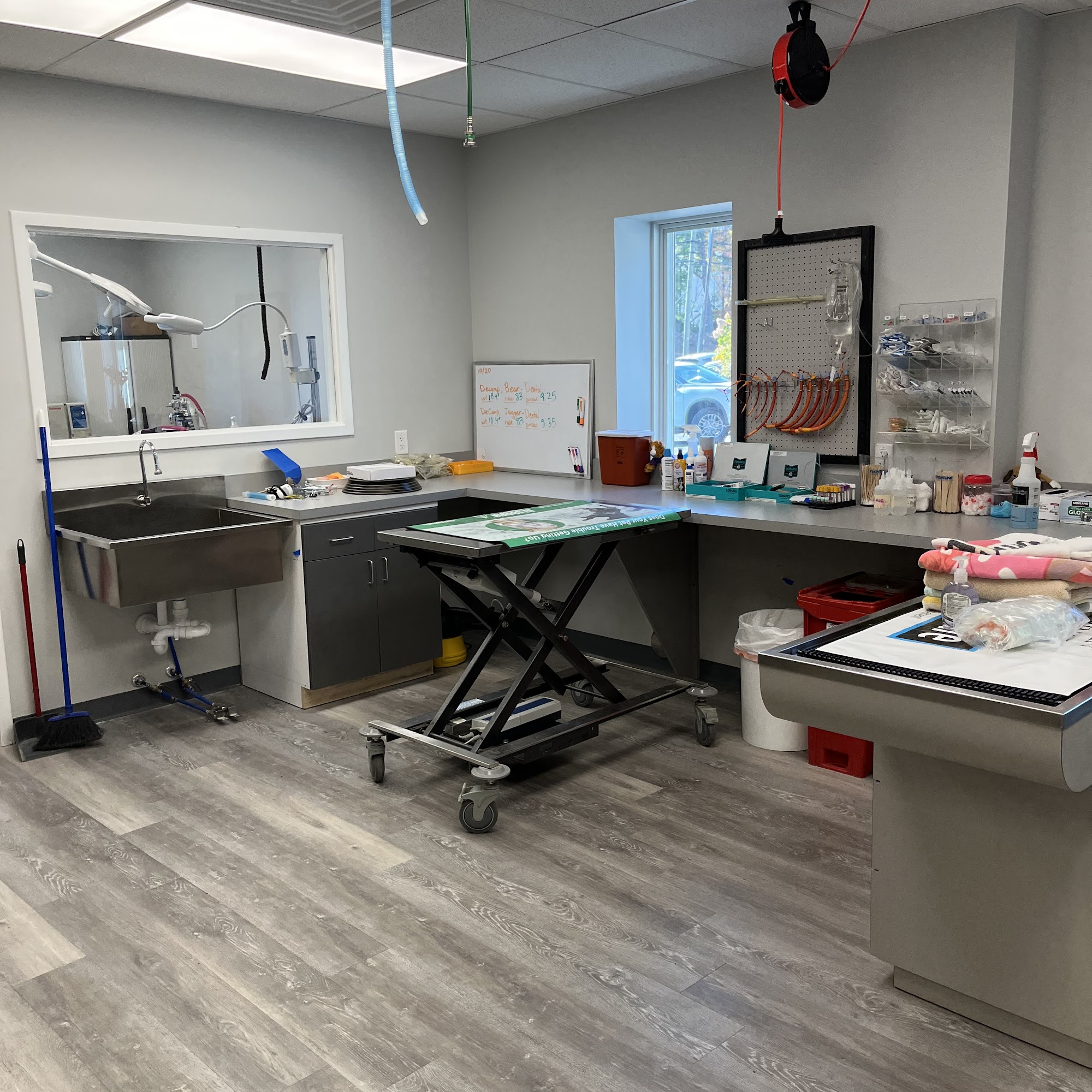 Tri-County Animal Hospital Wayne