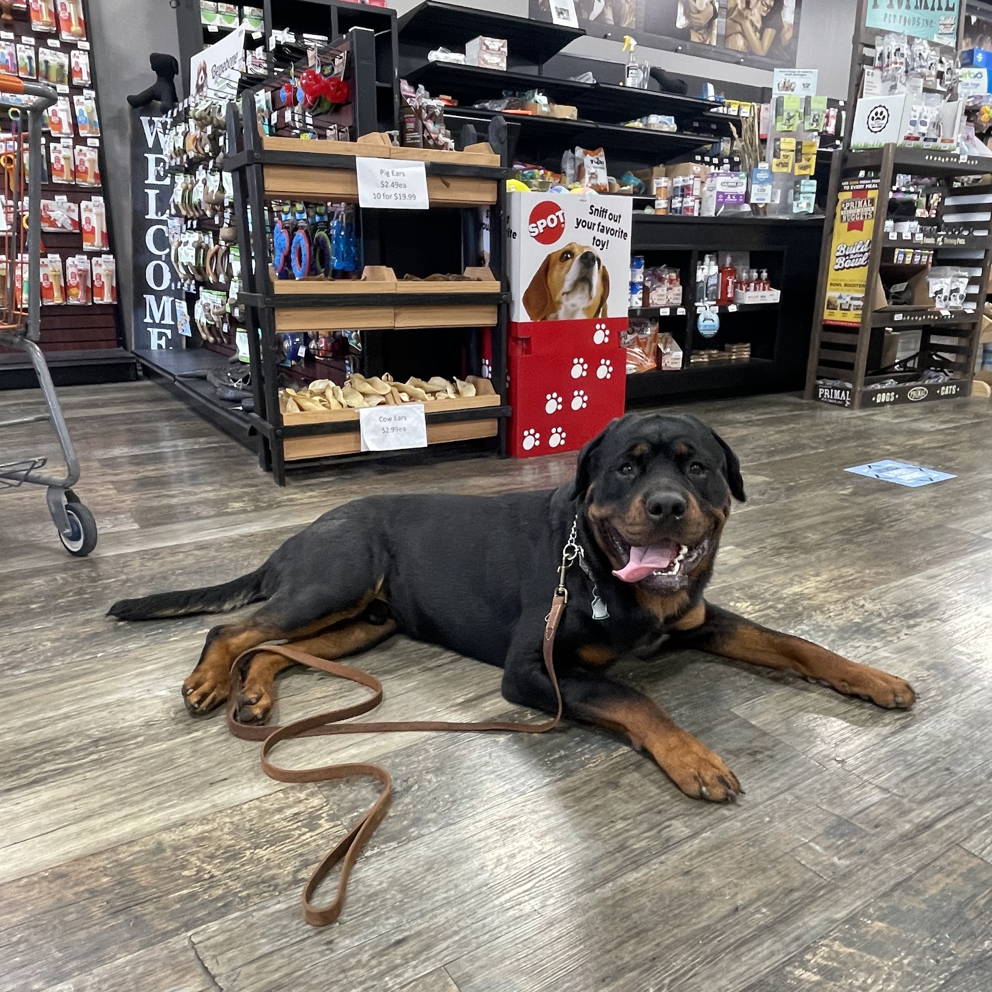 Nurture Pet-Berlin West Berlin