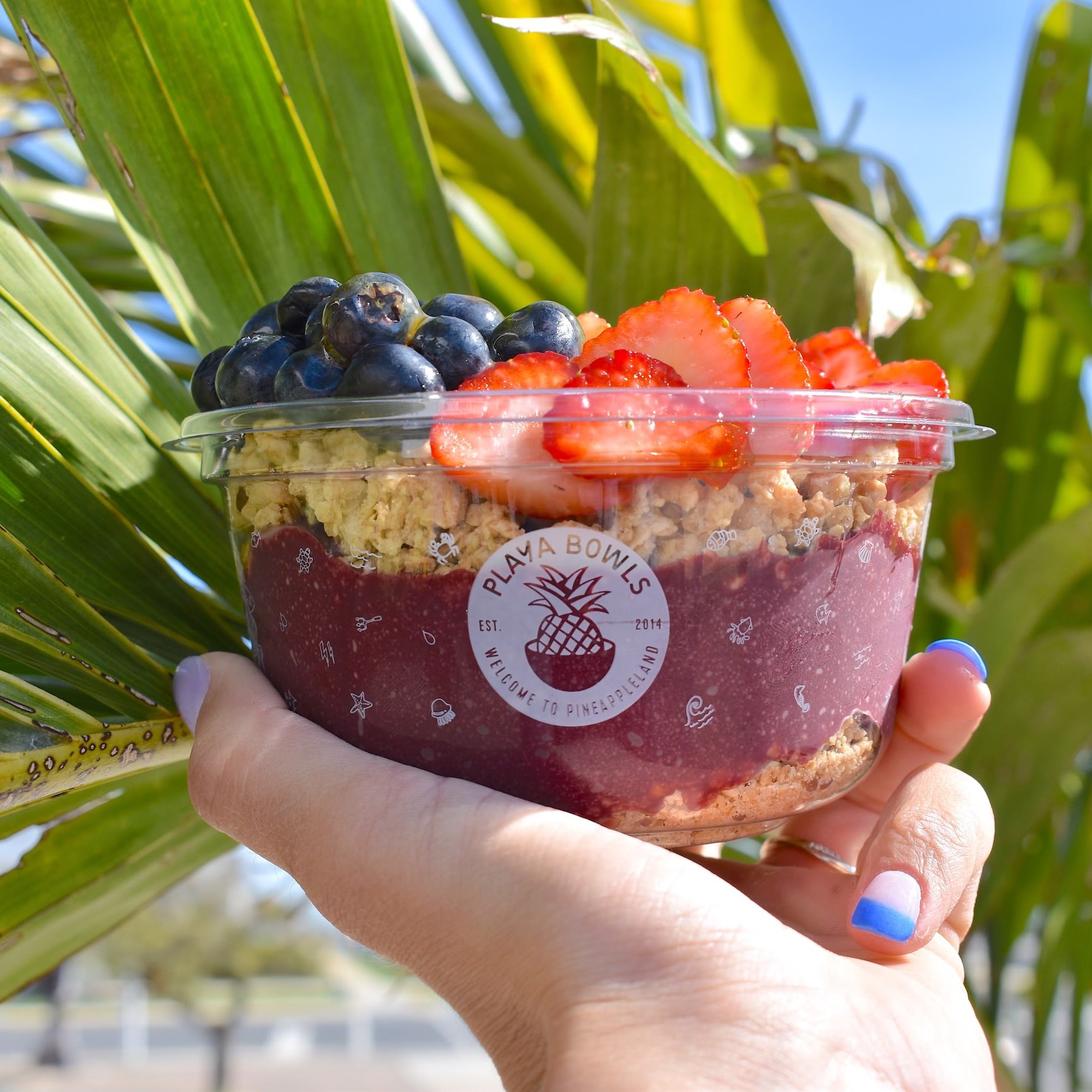 Playa Bowls West Caldwell