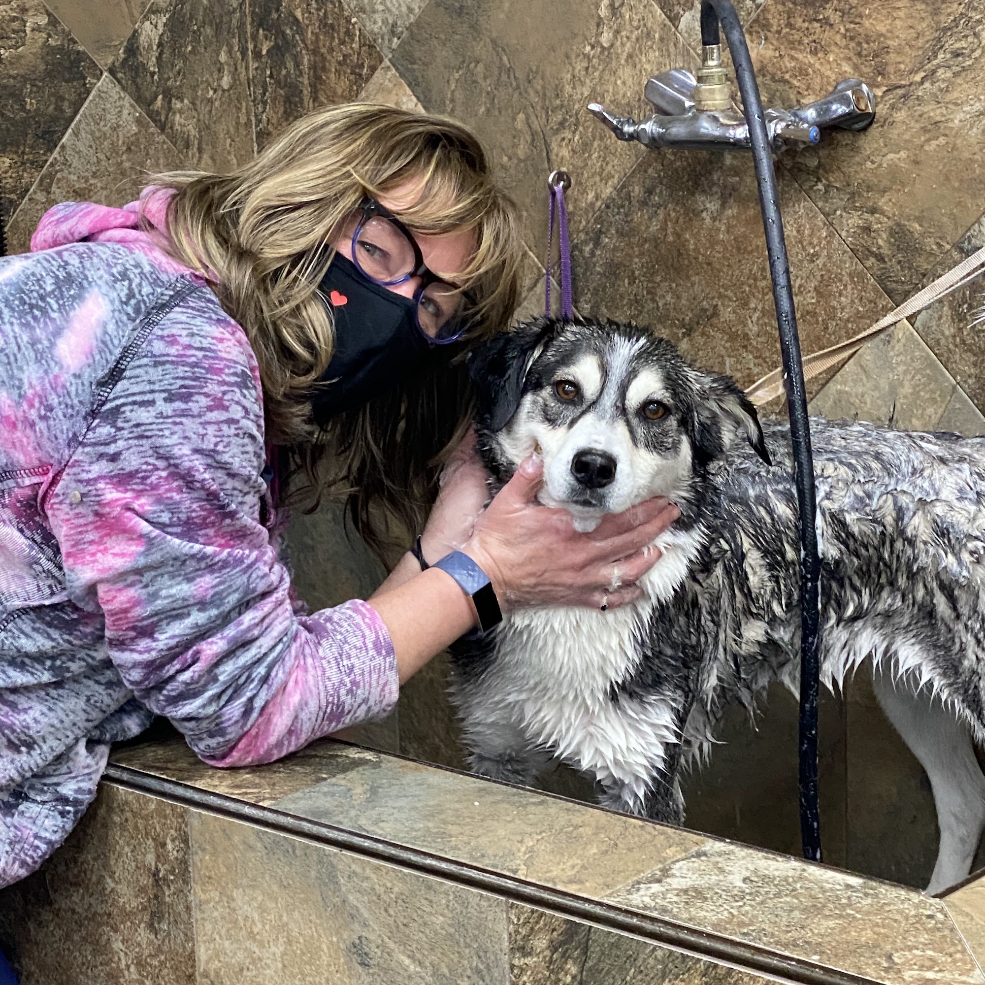 Home Towne Pet Shoppe West Caldwell