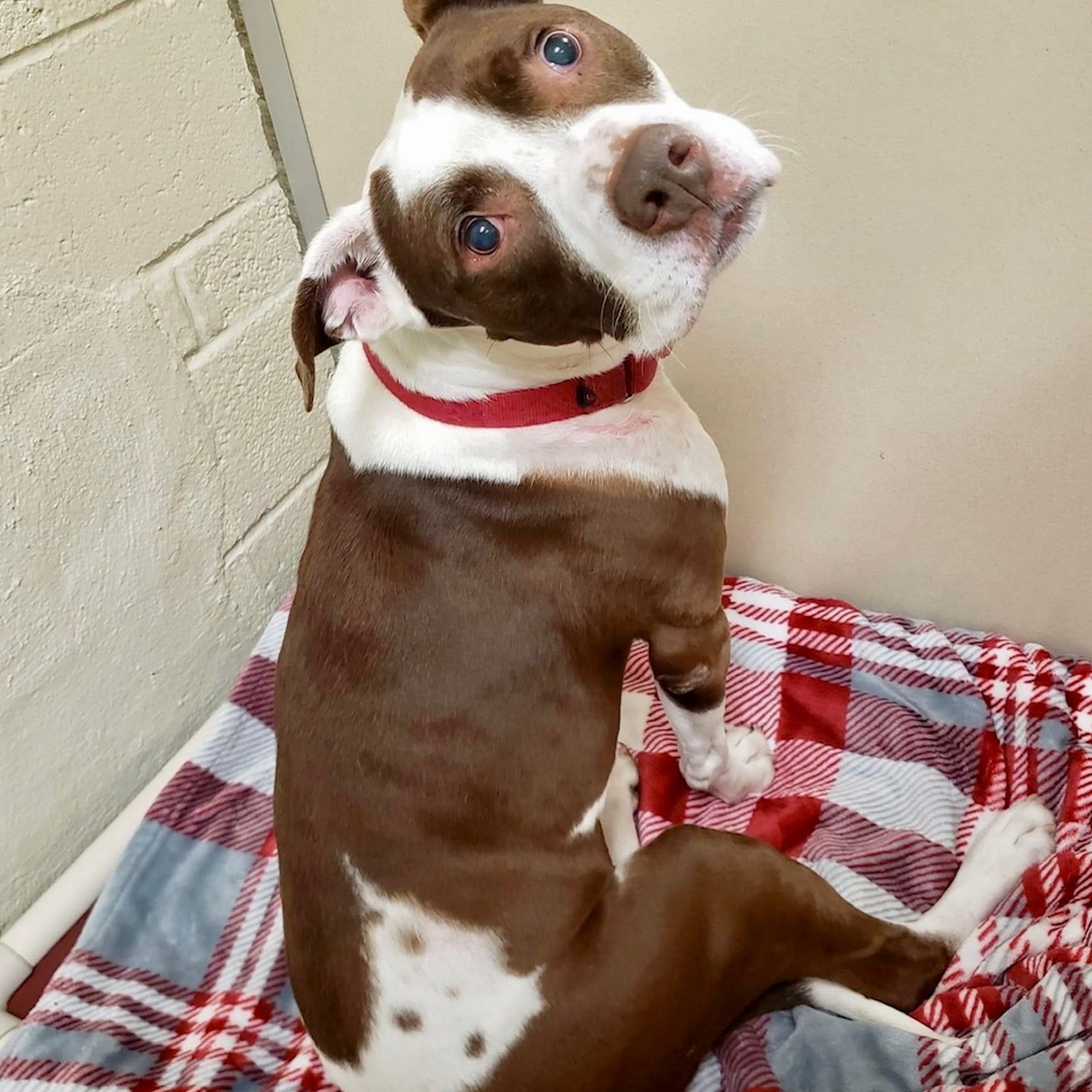 West Milford Animal Shelter Society West Milford