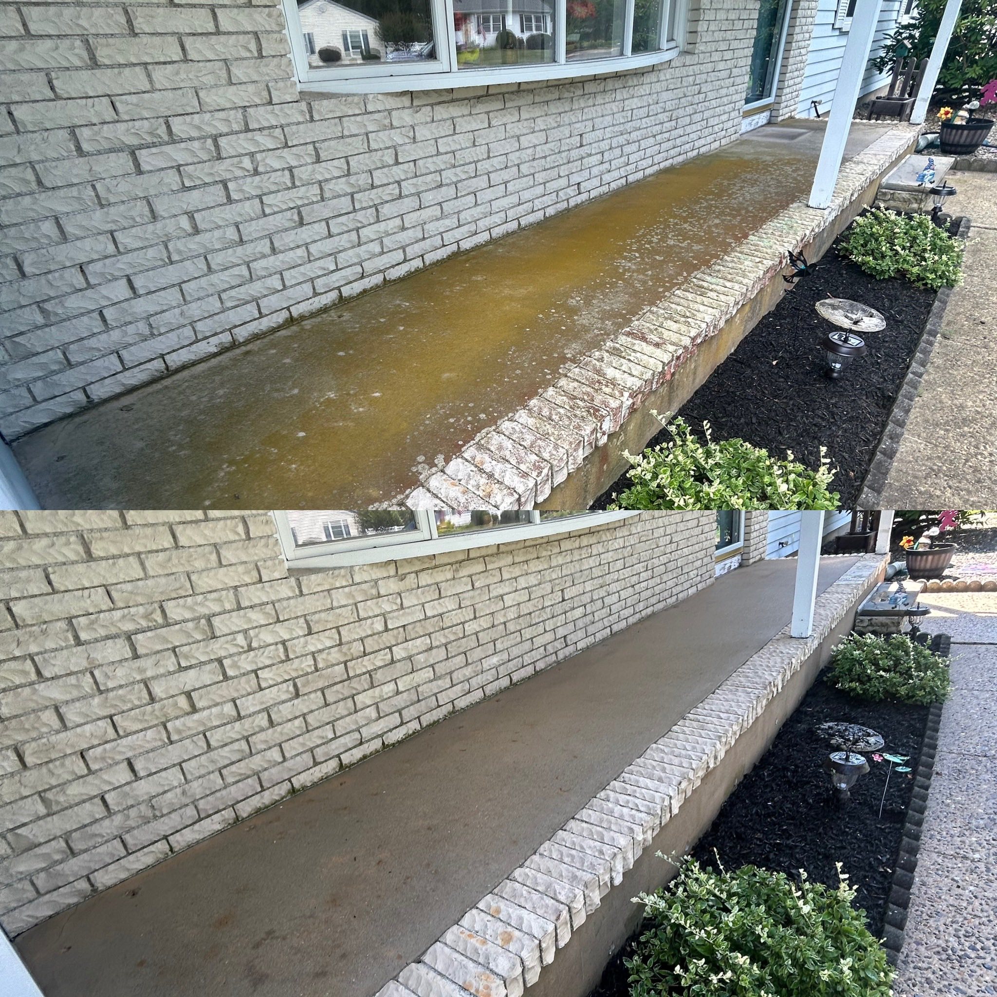 Above All Pest Control