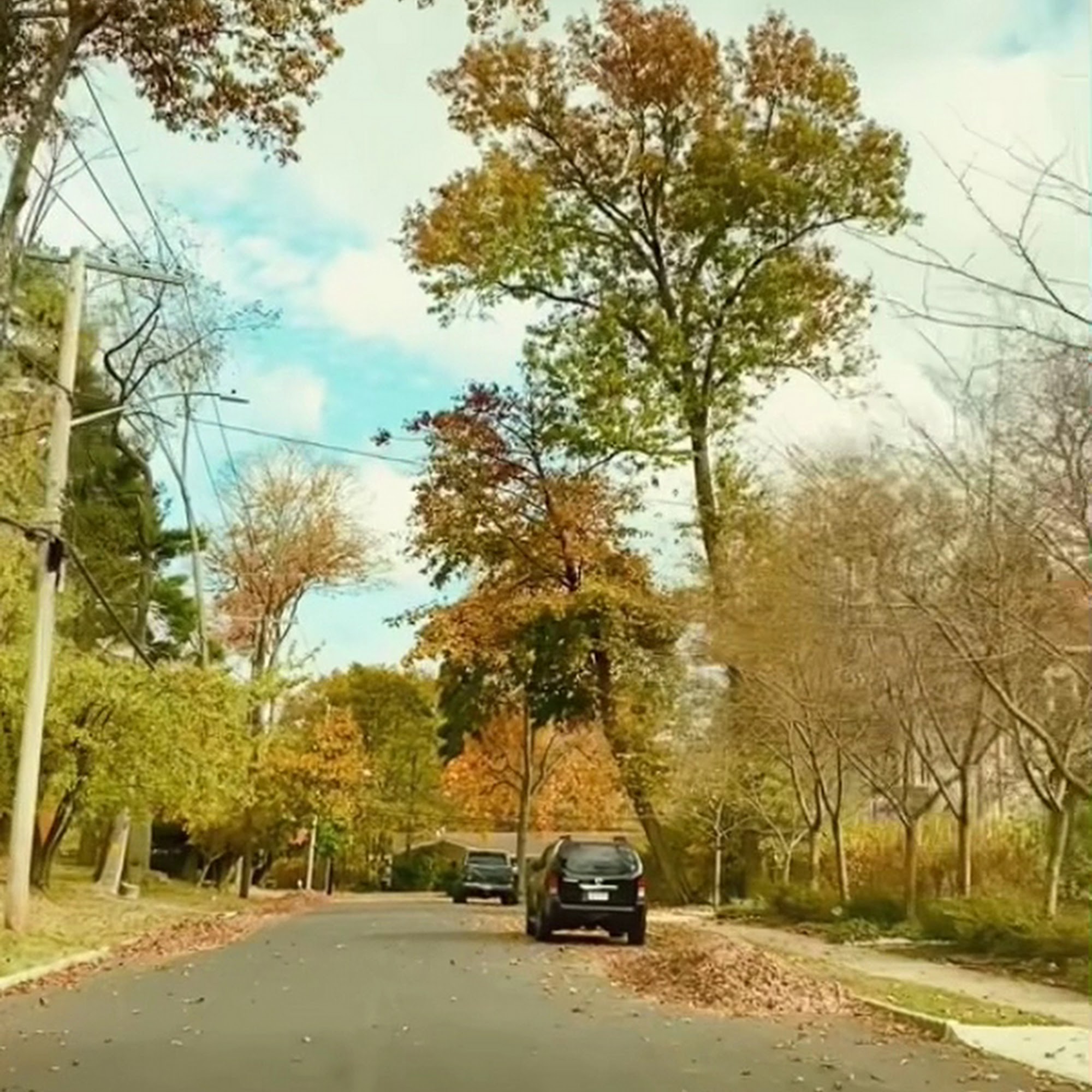 West Orange Animal Hospital West Orange