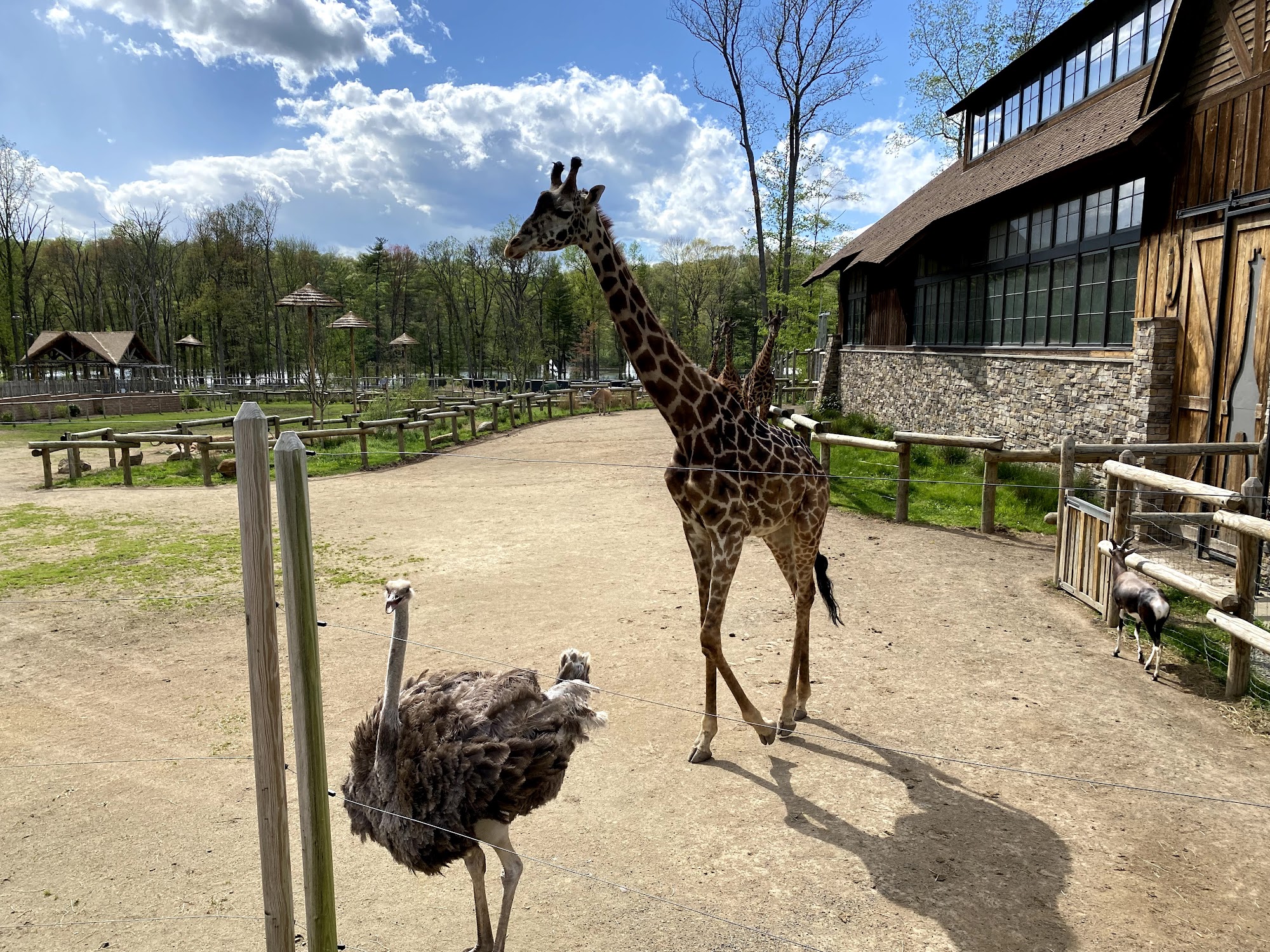 ESSEX COUNTY TURTLE BACK ZOO West Orange NJ Hours Directions essex-county-turtle-back-zoo-west-orange-nj-hours-directions