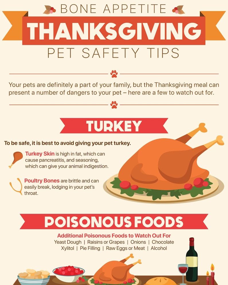 Westfield Animal Hospital- Shannon Cabell, DVM Westfield