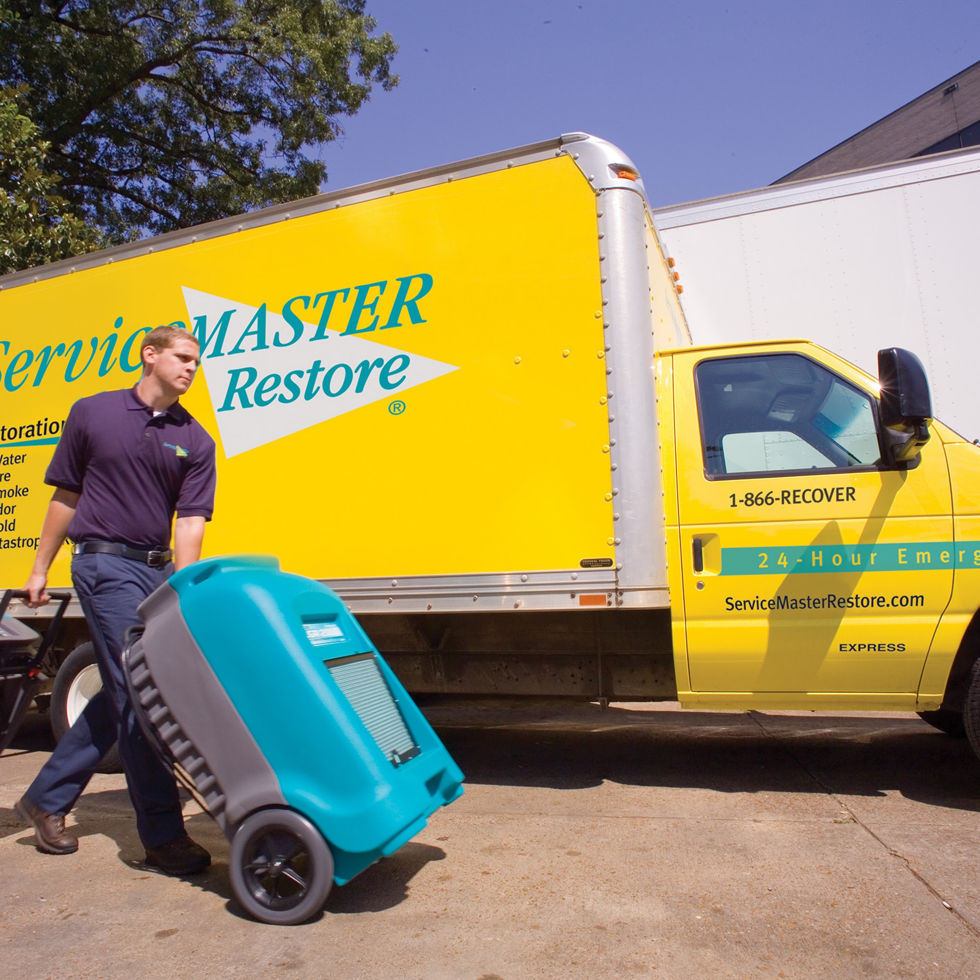 ServiceMaster Restore by Timeless