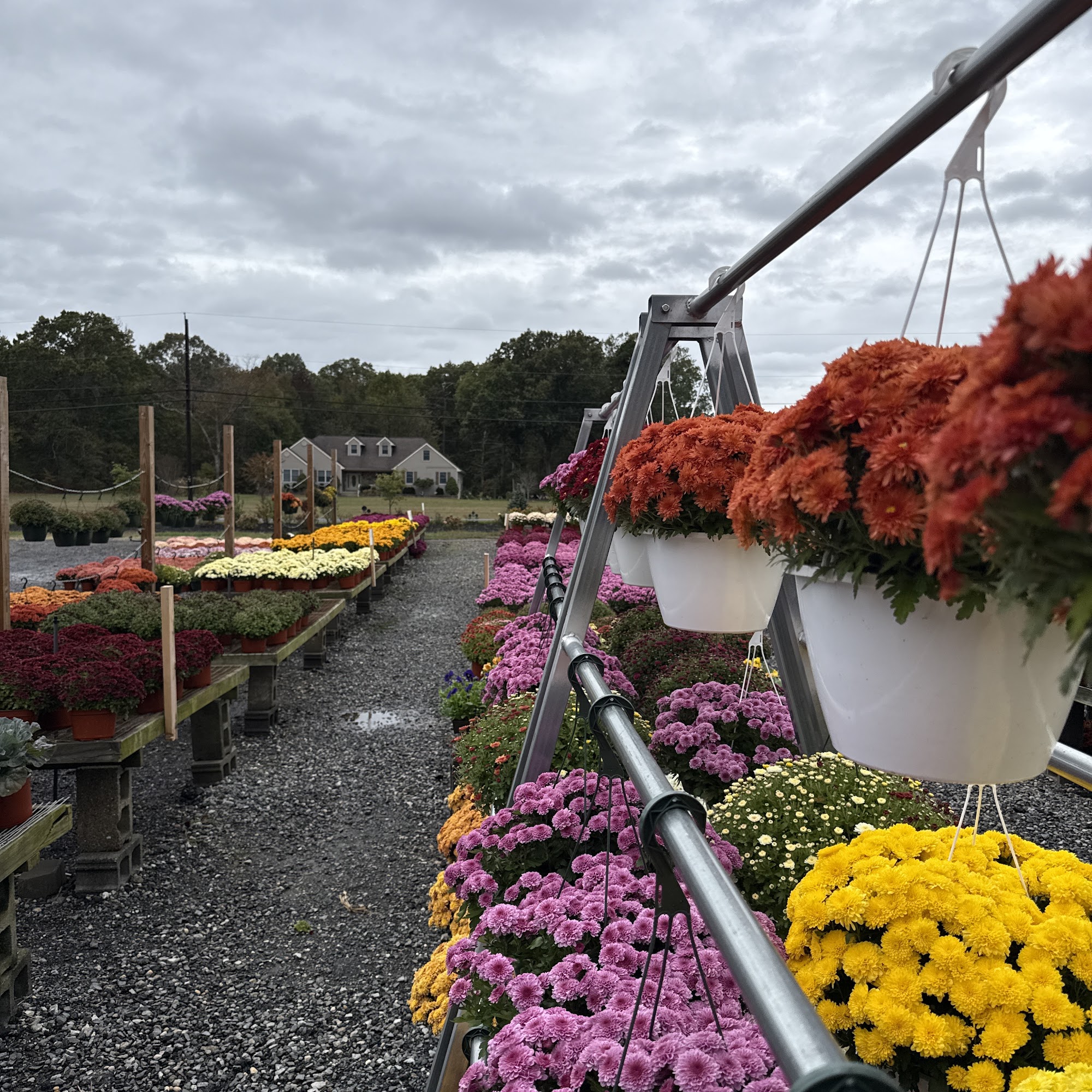 Bill And Lin's Nursery Williamstown