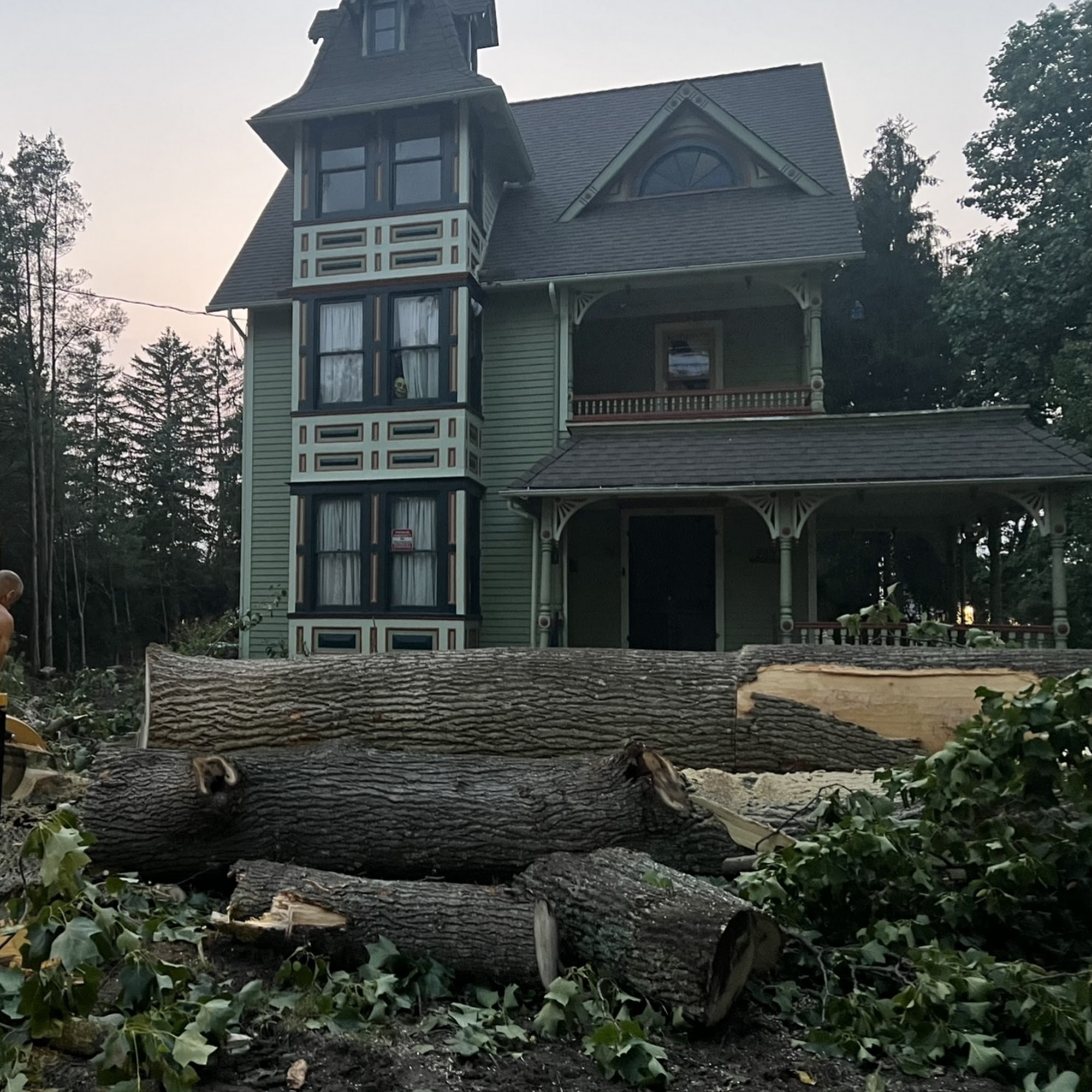 Lumberjack Tree Pros 4607 Coles Mill Rd, Williamstown New Jersey 08094