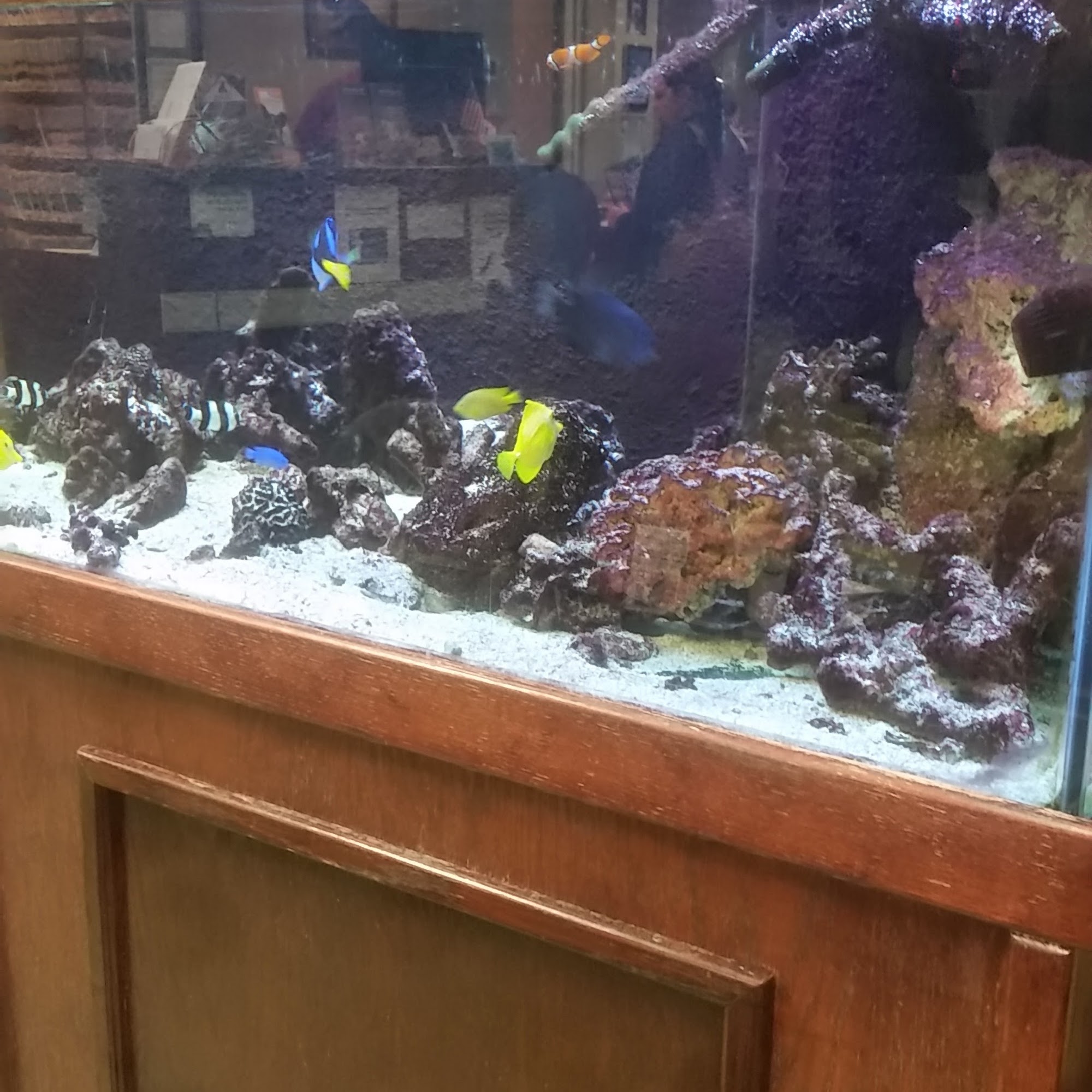 Woodbridge Veterinary Group Woodbridge