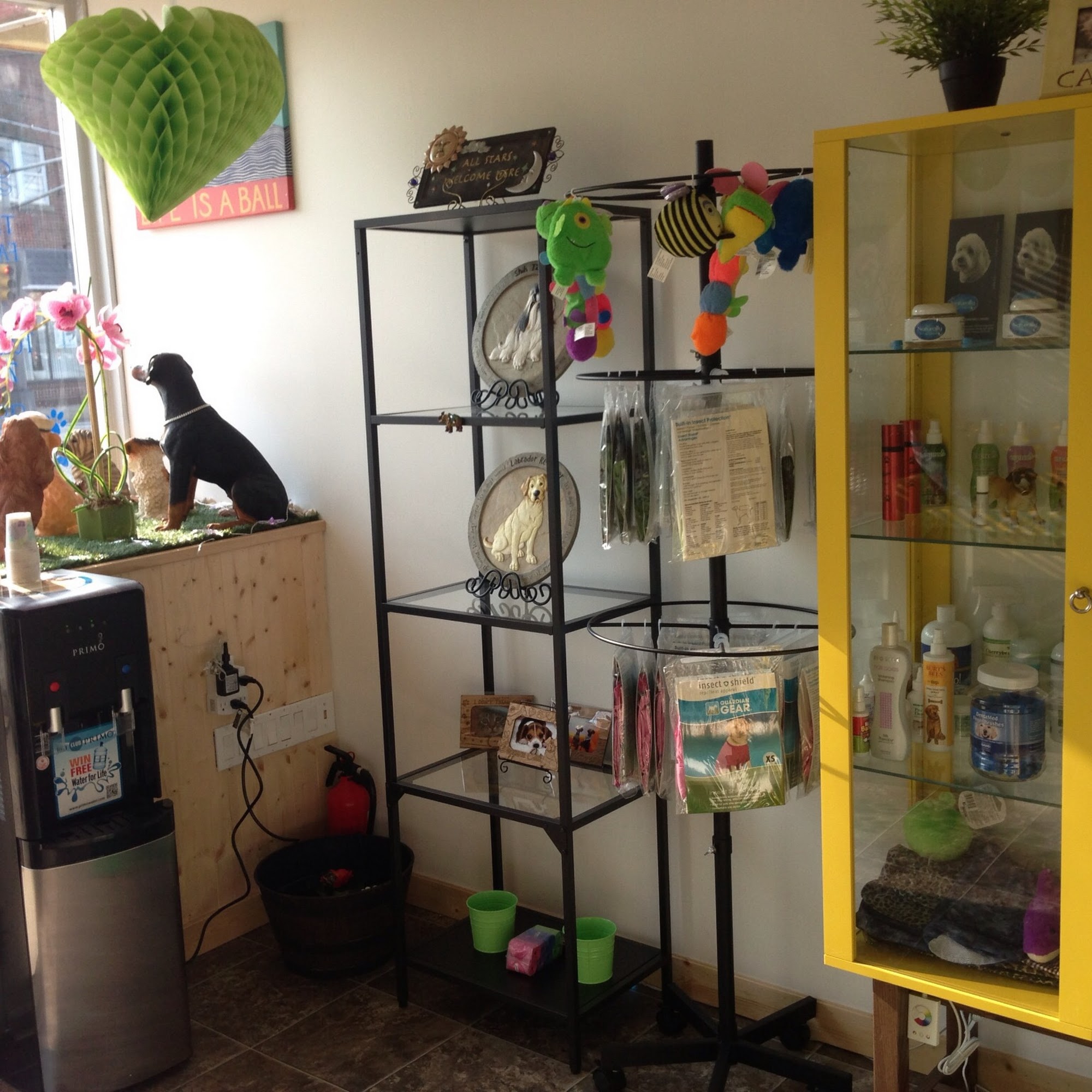 Golden Paw Spa Woodbridge