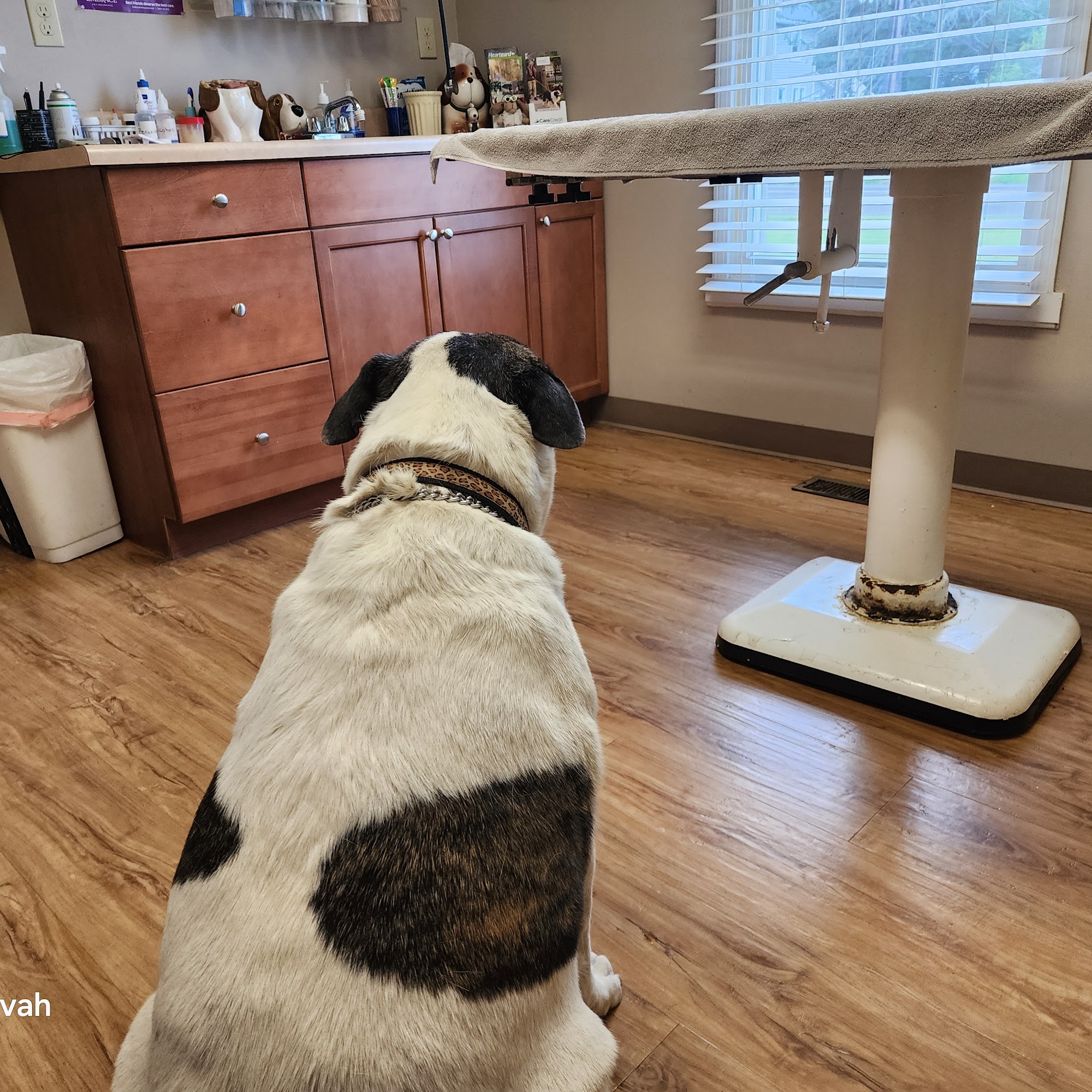 Wrightstown Veterinary Clinic Wrightstown