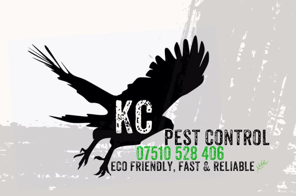 K & C Pest Control 9 Prince St, Corner Brook Newfoundland and Labrador A2H 4K5
