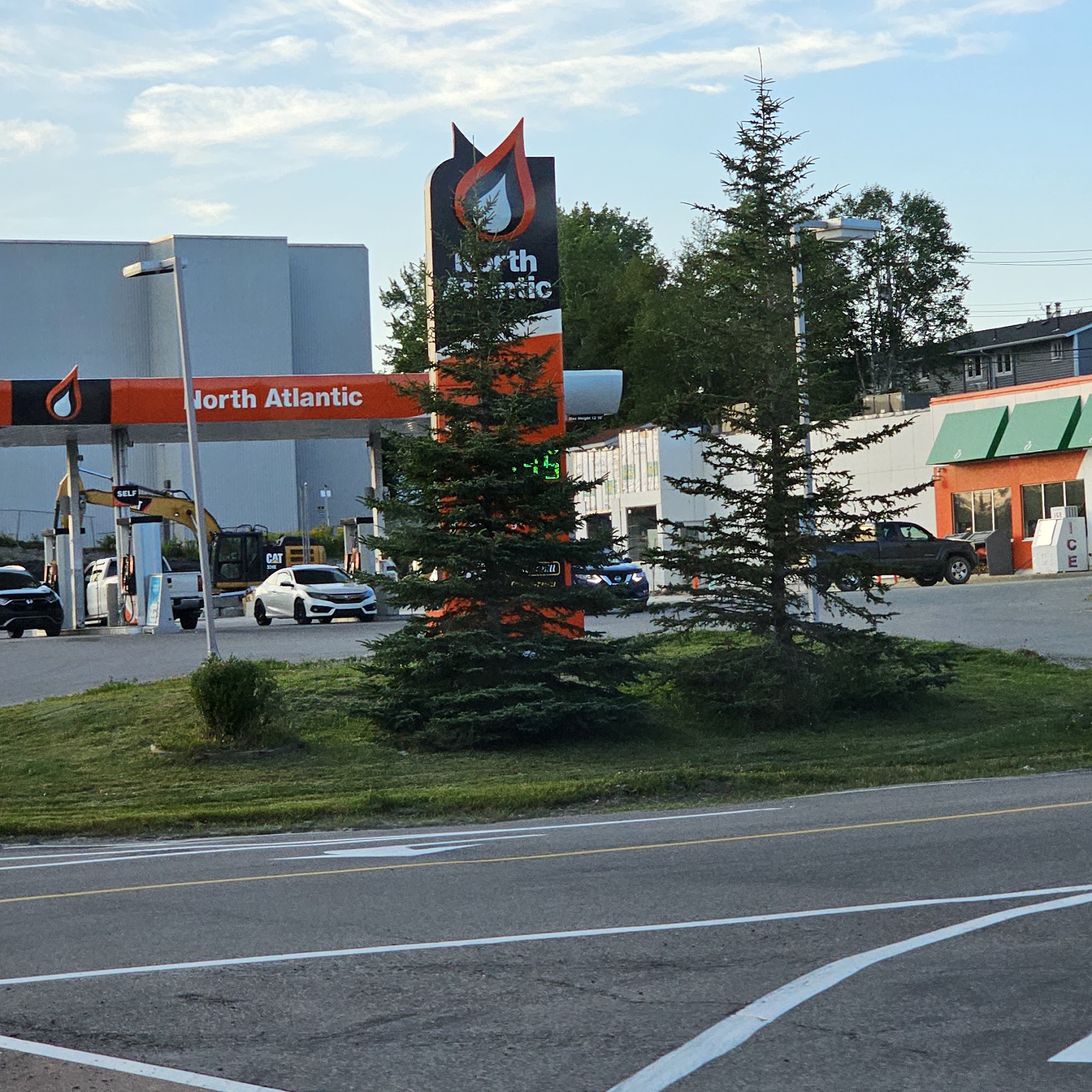 North Atlantic Gander