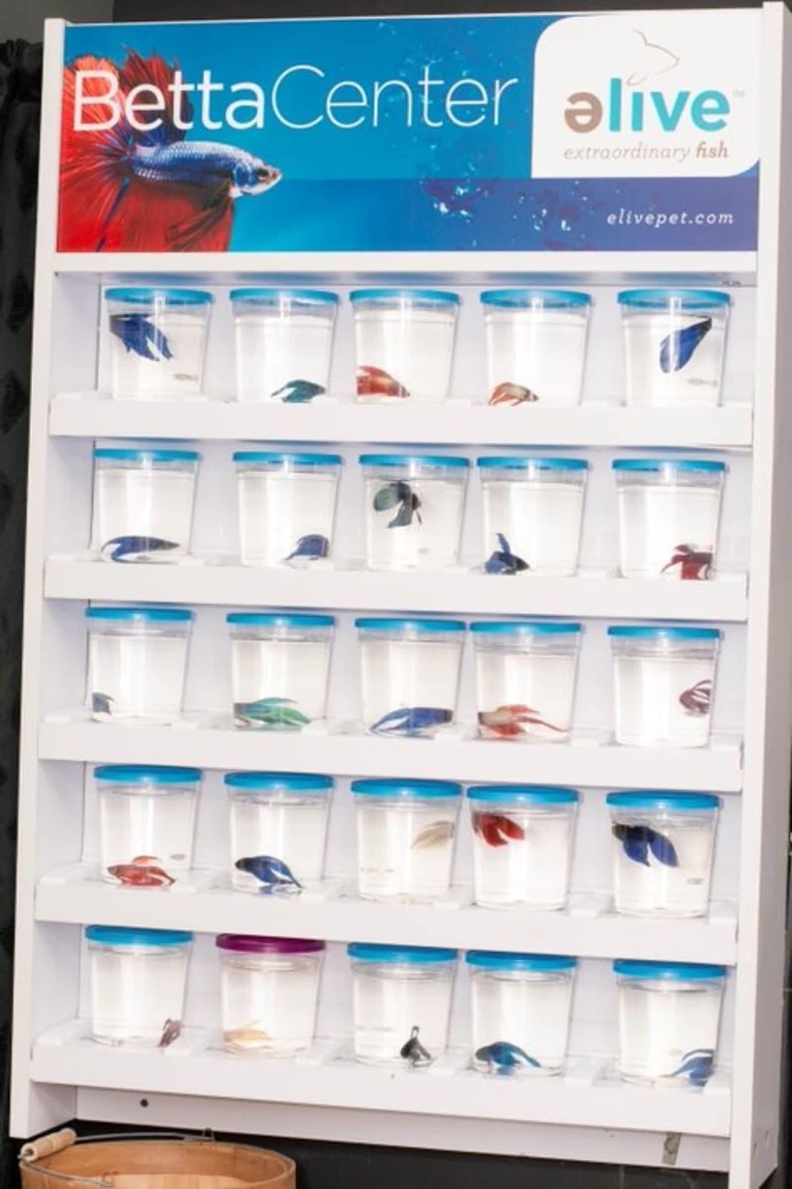 Photo credit: yellowpages.ca