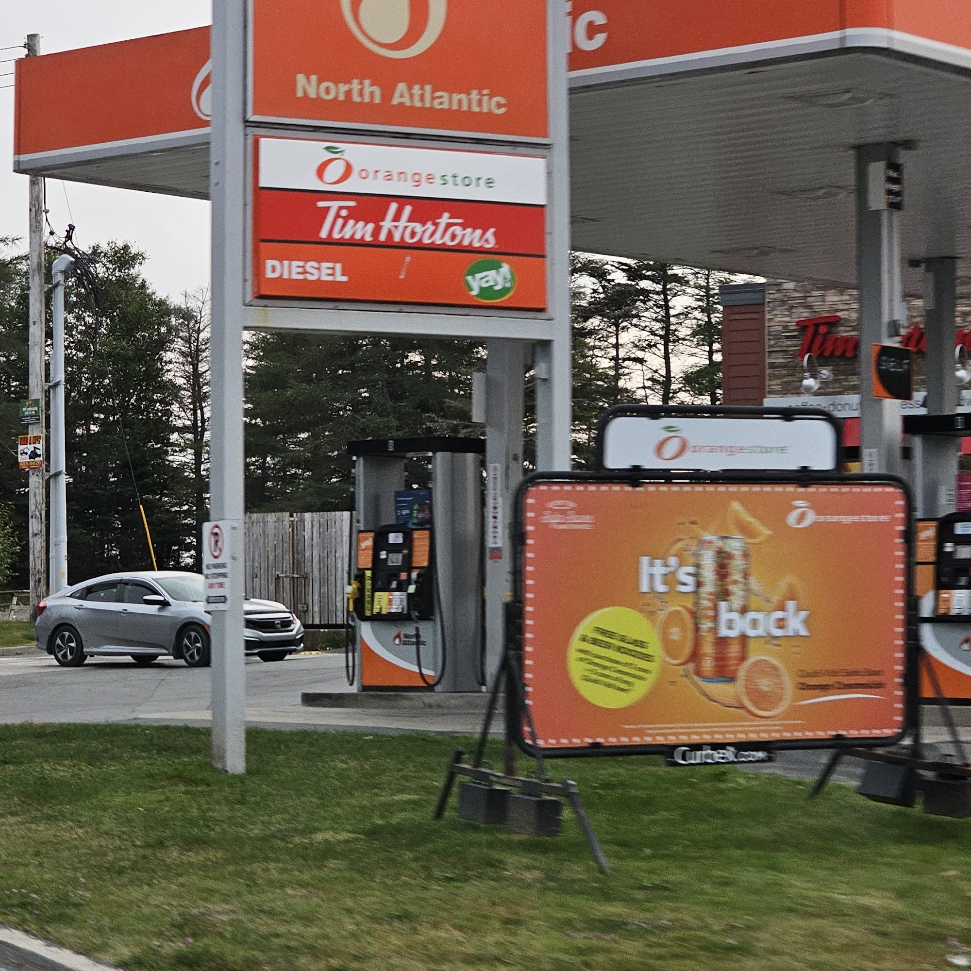 North Atlantic Witless Bay