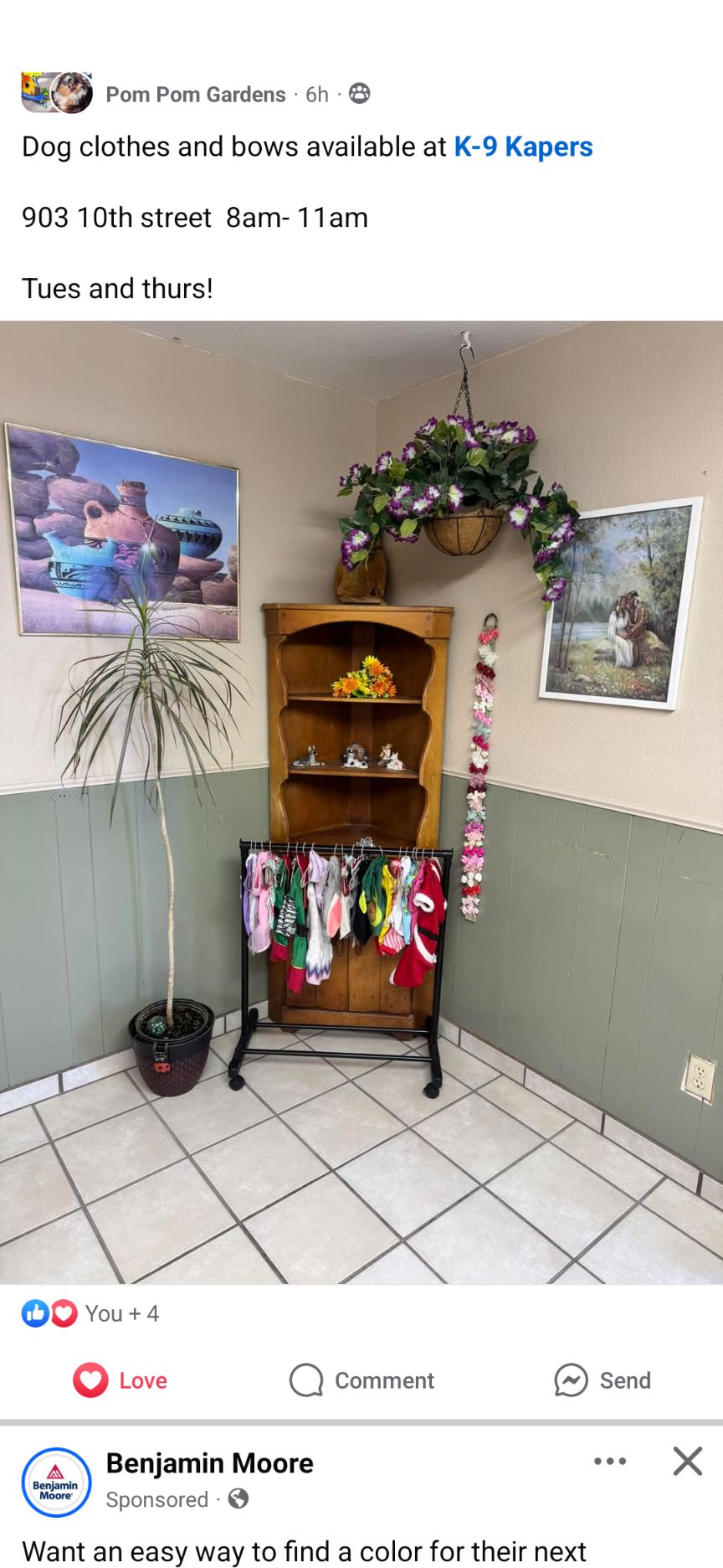 K-9 Kapers Alamogordo