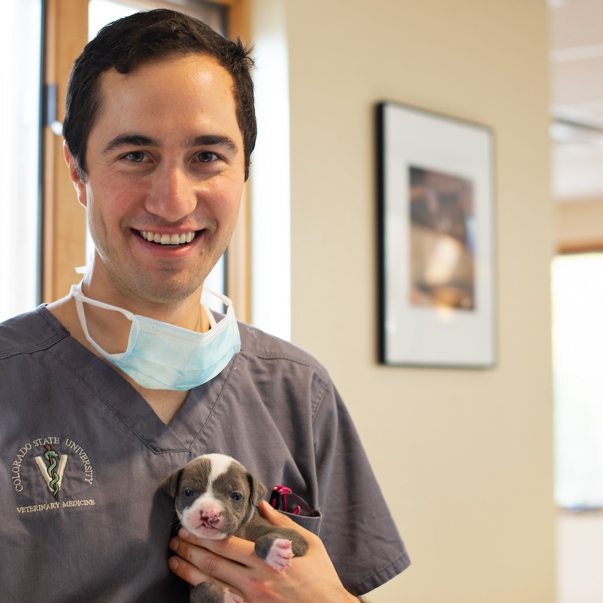 Aztec Animal Clinic Albuquerque