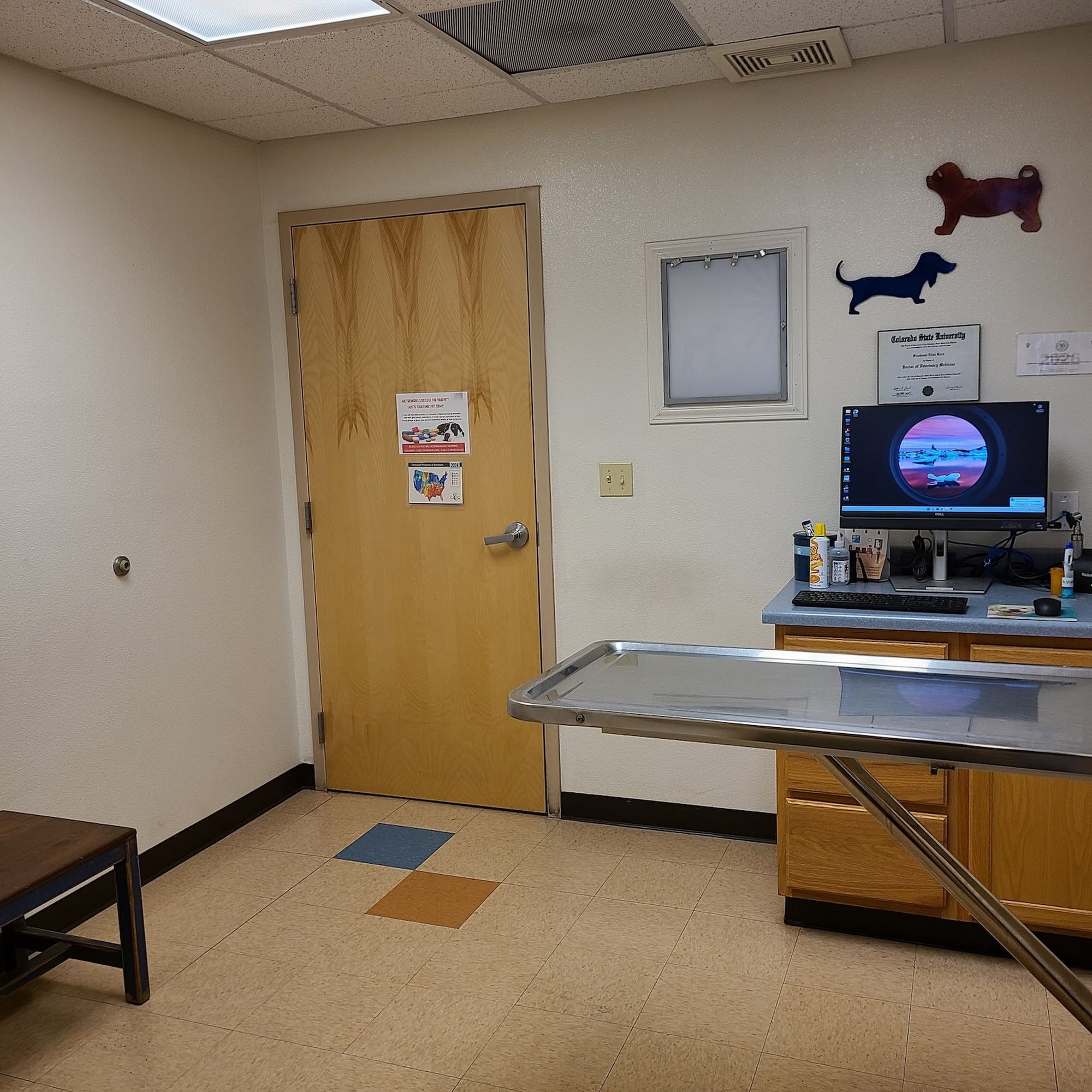 Del Norte Animal Clinic Albuquerque