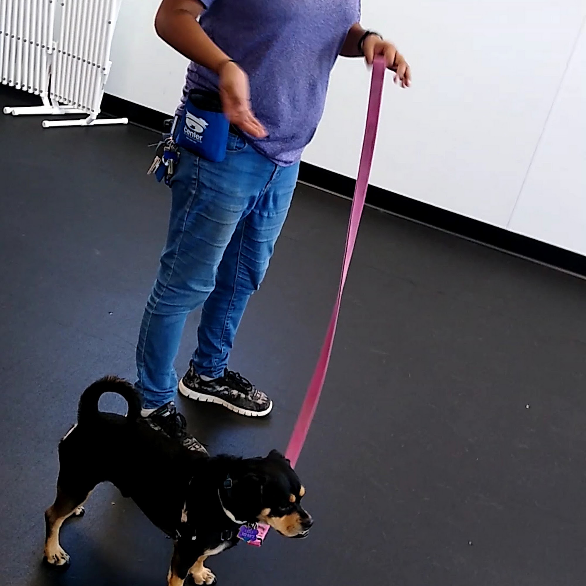 Animal Humane New Mexico Albuquerque