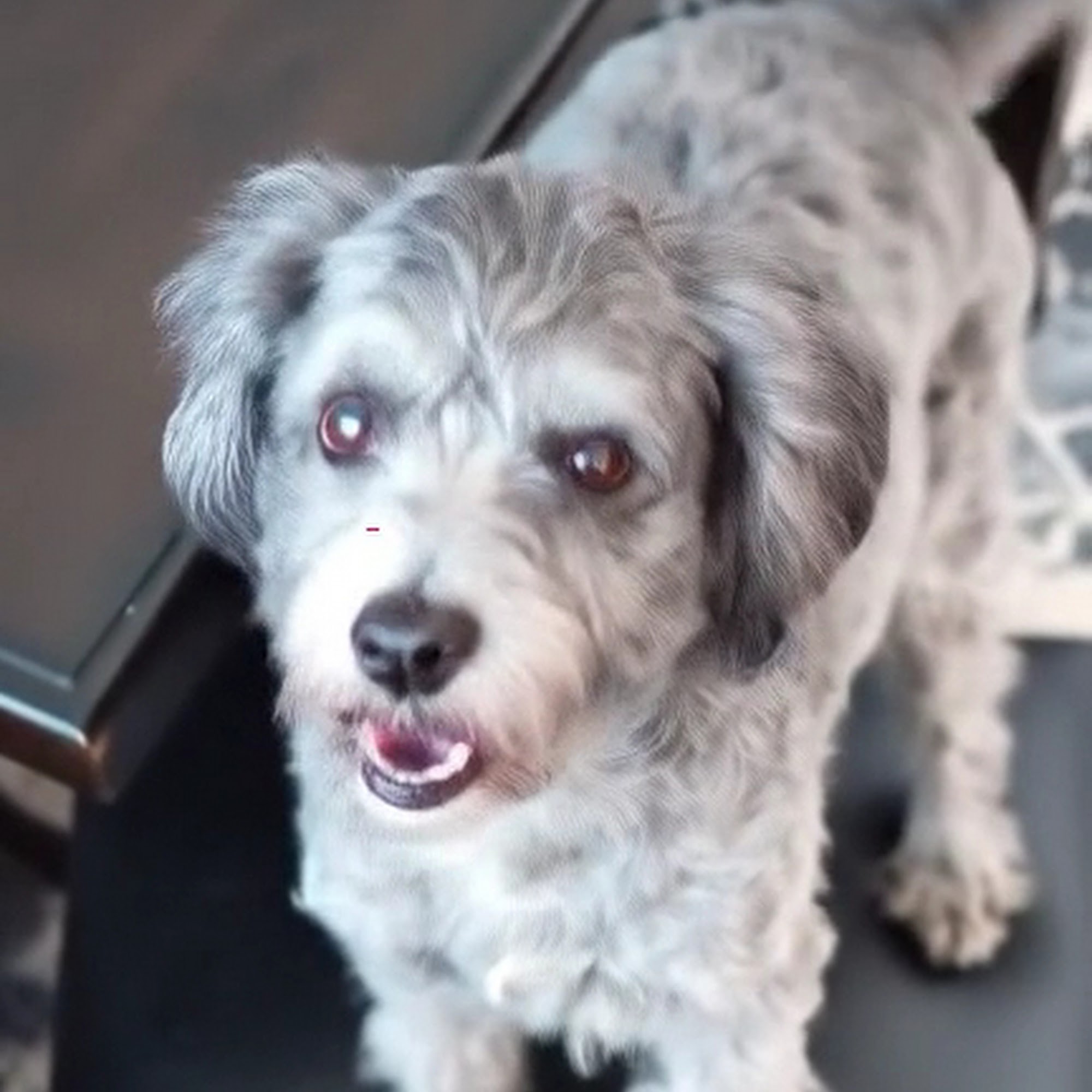 Taylor Ranch Veterinary Hospital Albuquerque