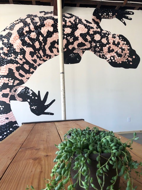 Gravity Bound Brewing Company Menu