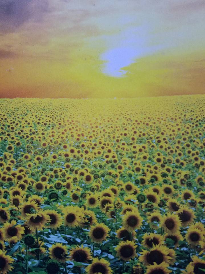 Power Of Touch Massage Therapy