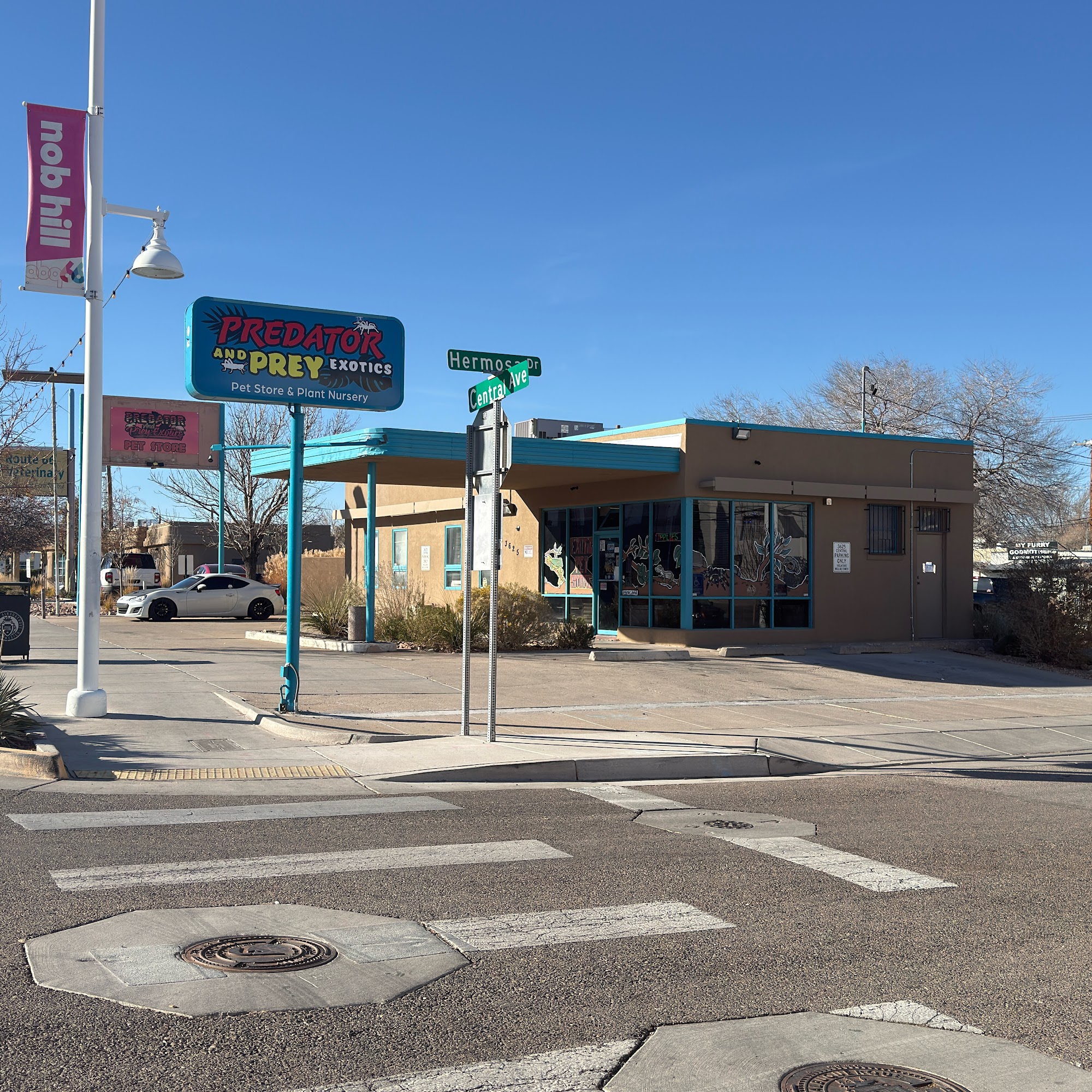 Predator and Prey Exotics Albuquerque