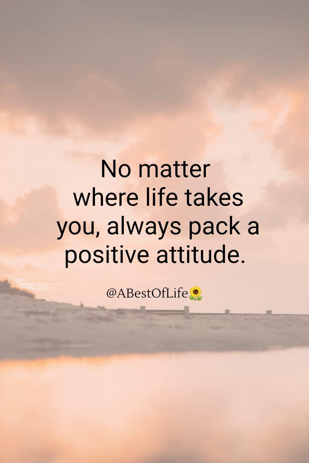 Alma's Cleaning Services