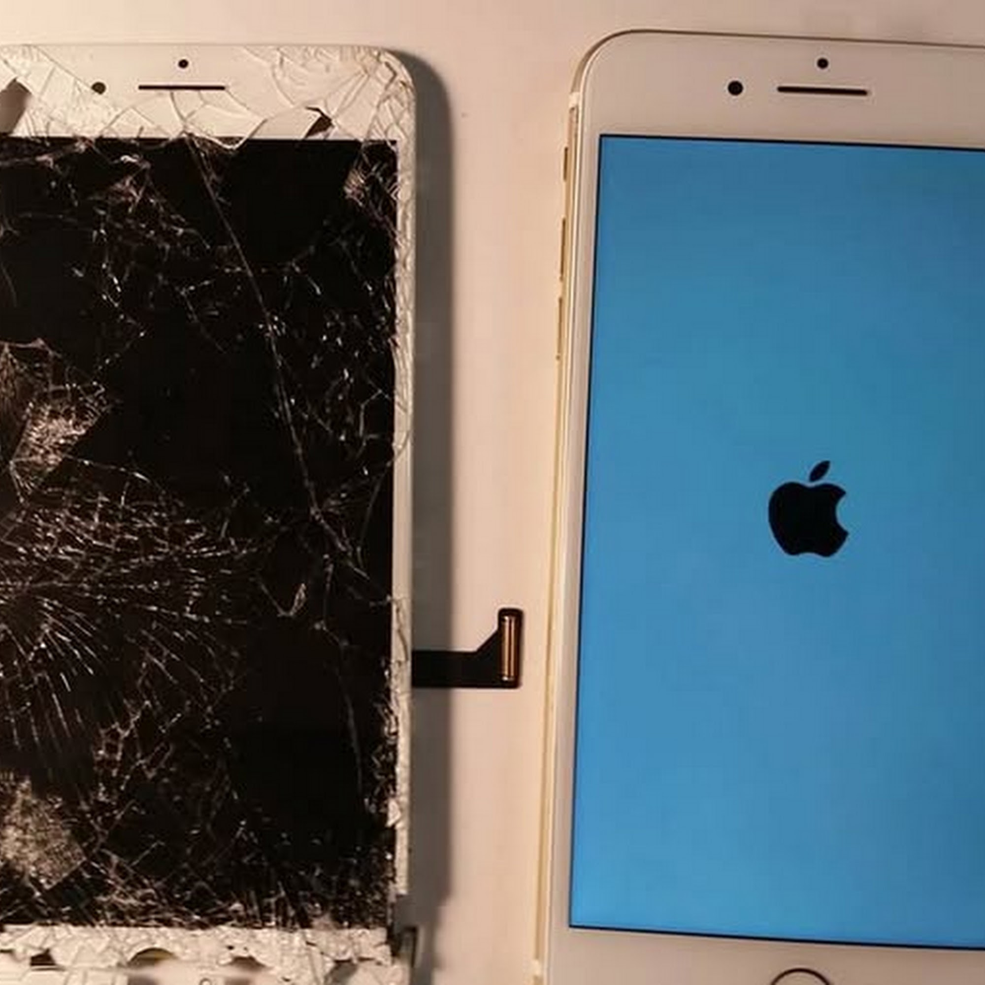 Mobile Spot of Albuquerque