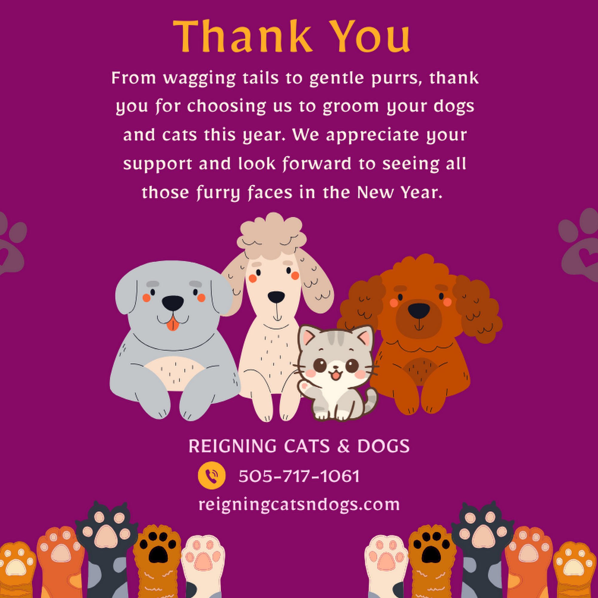 Reigning Cats & Dogs Albuquerque